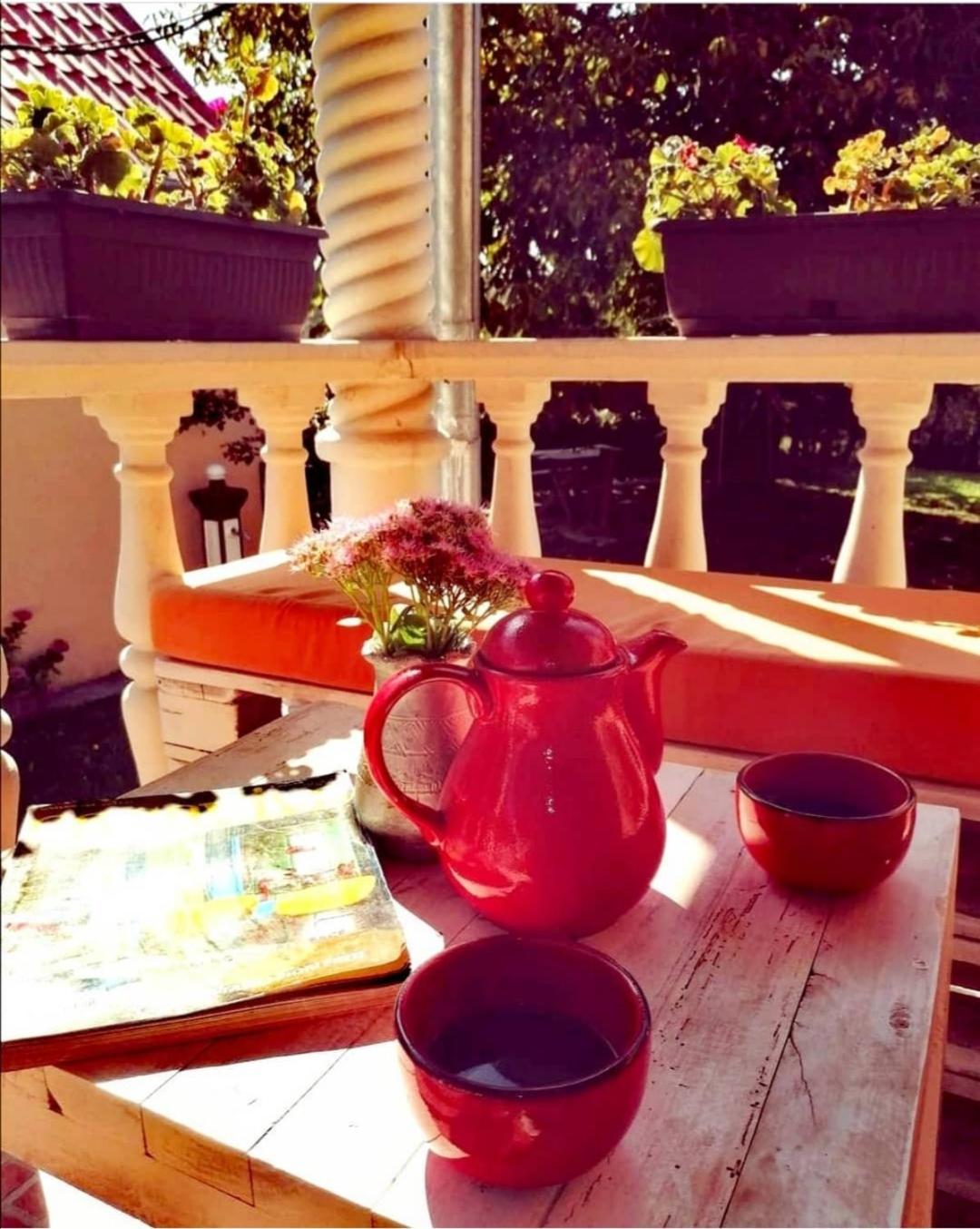 Vrdnik apartmani Sara view 5