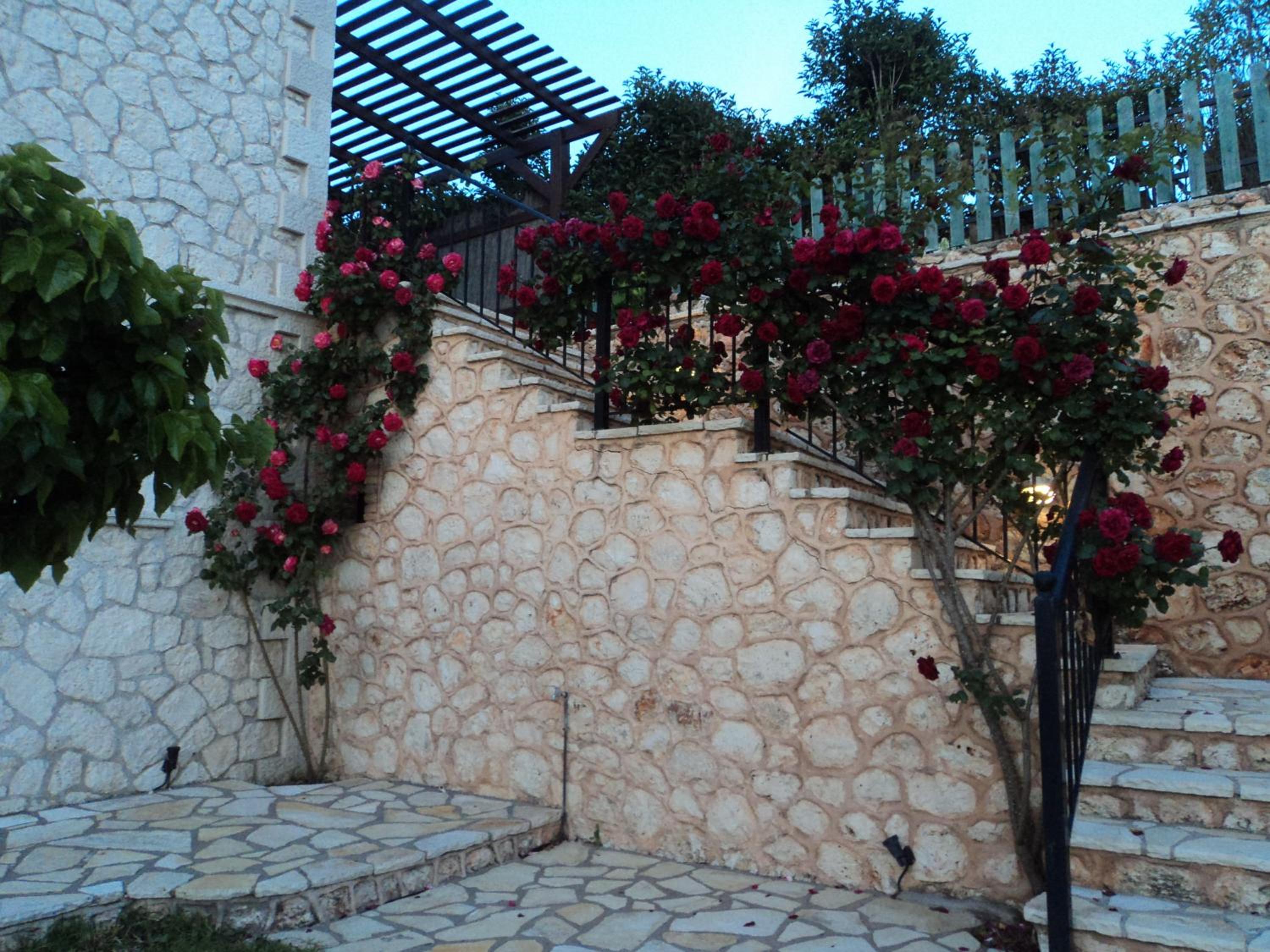 Villas Goudis