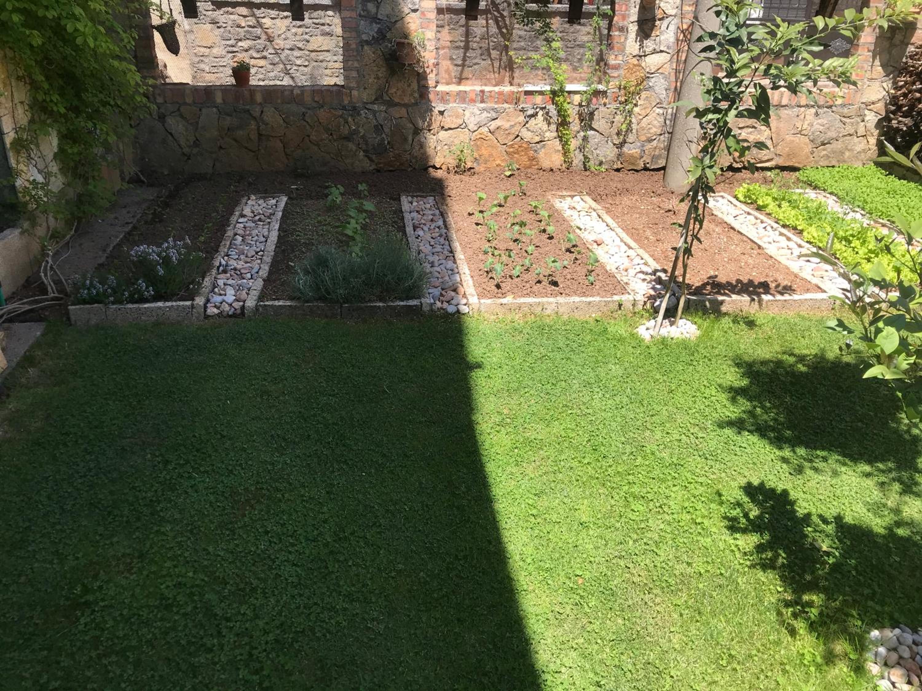 Guest House Lin