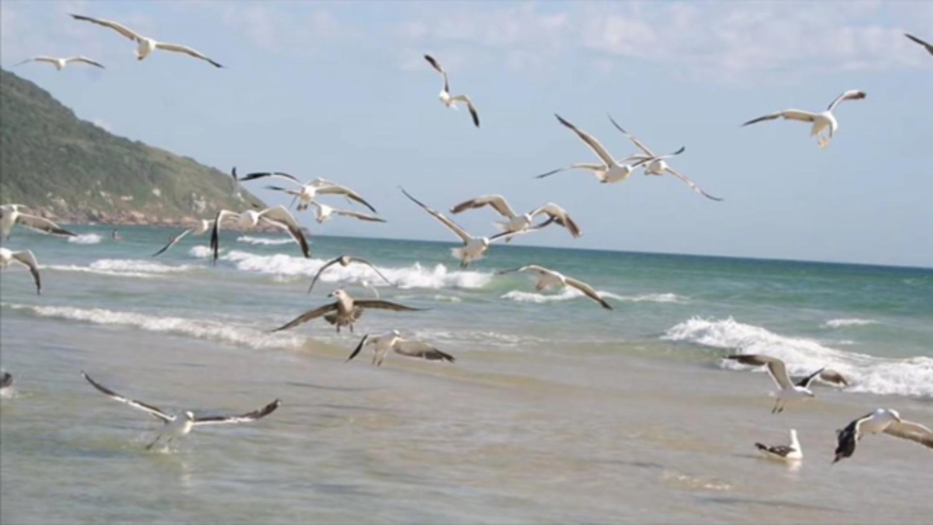 Acqua Marine — photo 2