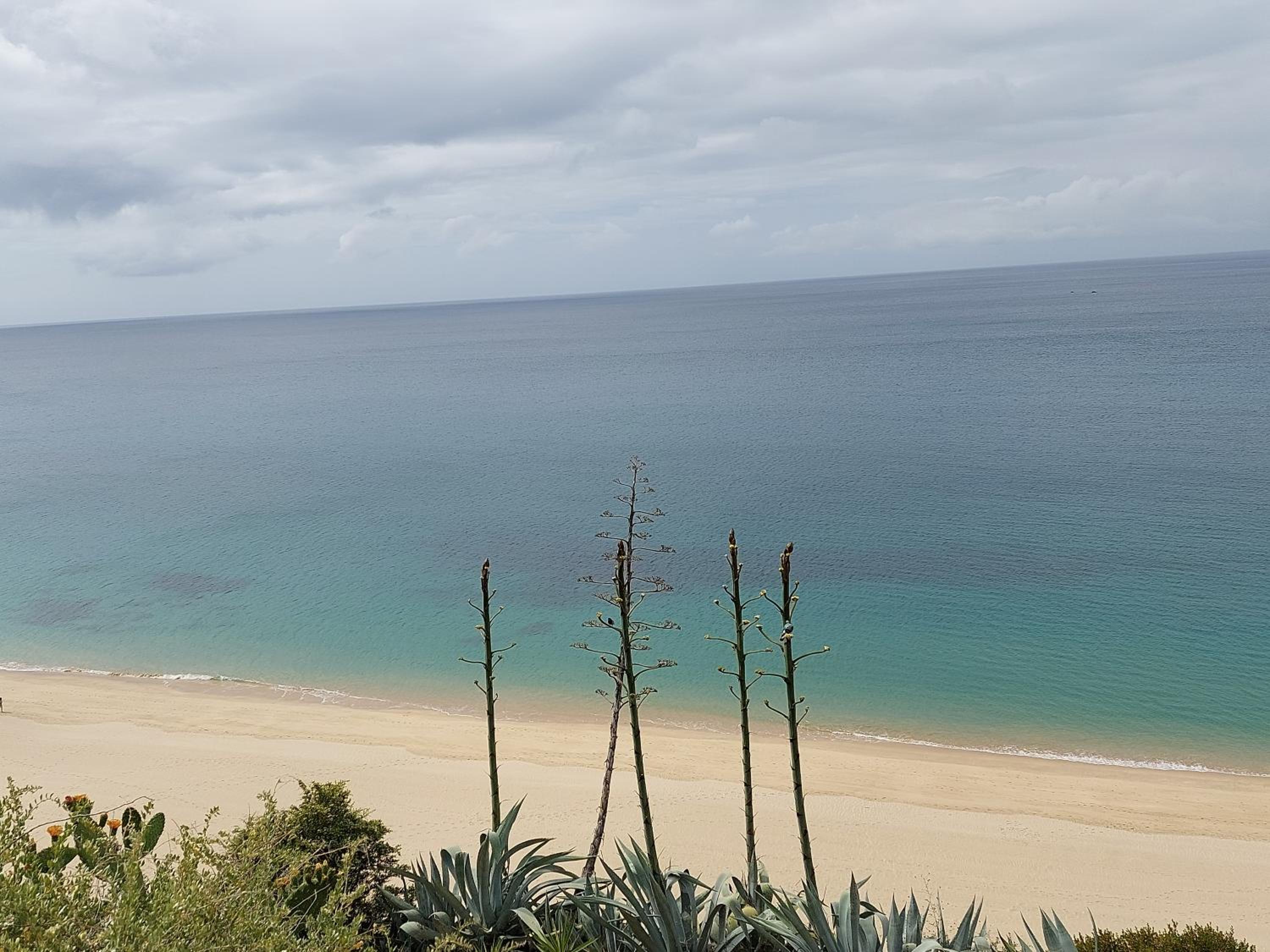 Acqua Marine — photo 2