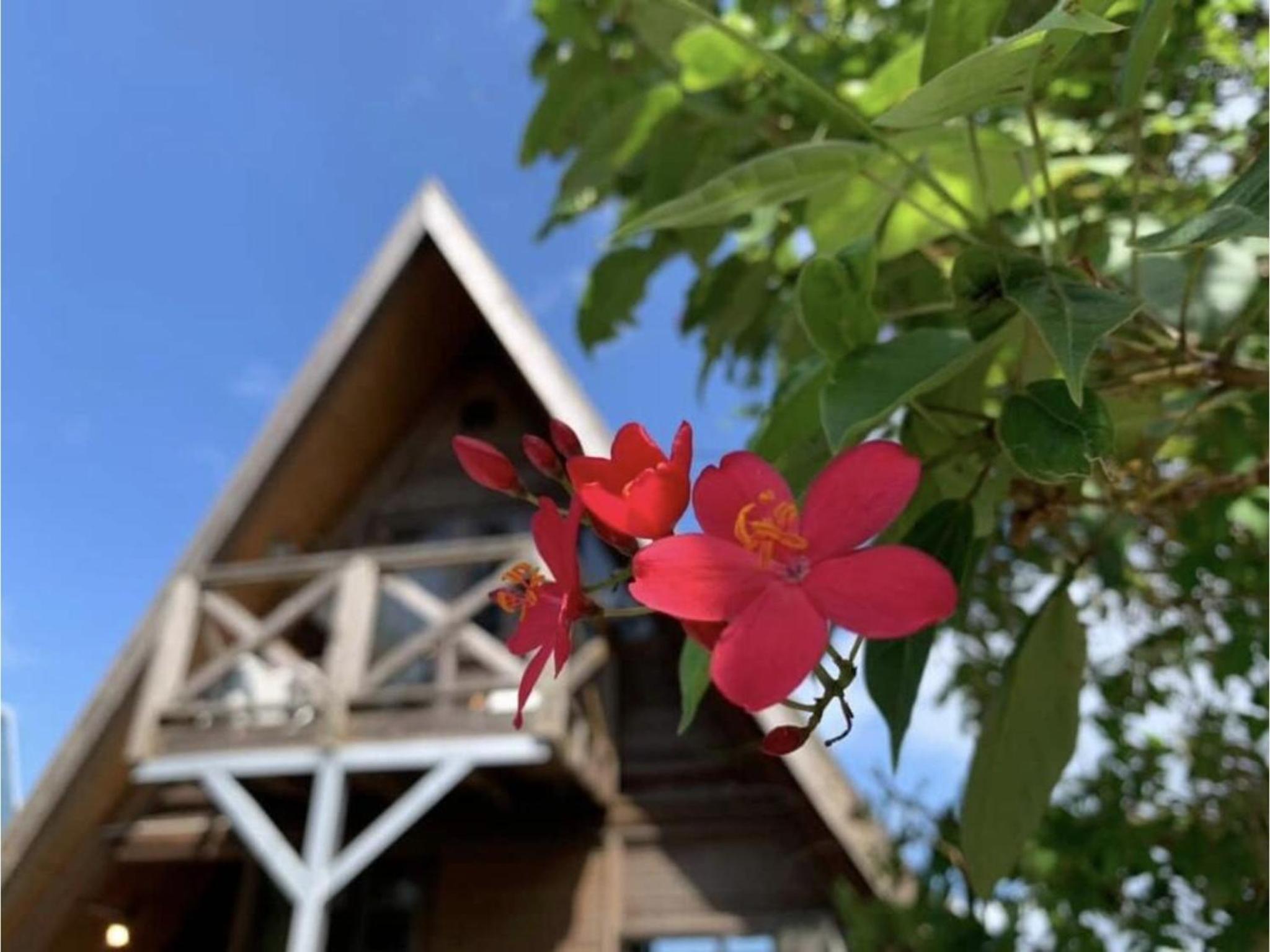 LOGIN OKINAWA -wood- - Vacation STAY 33434v view 2