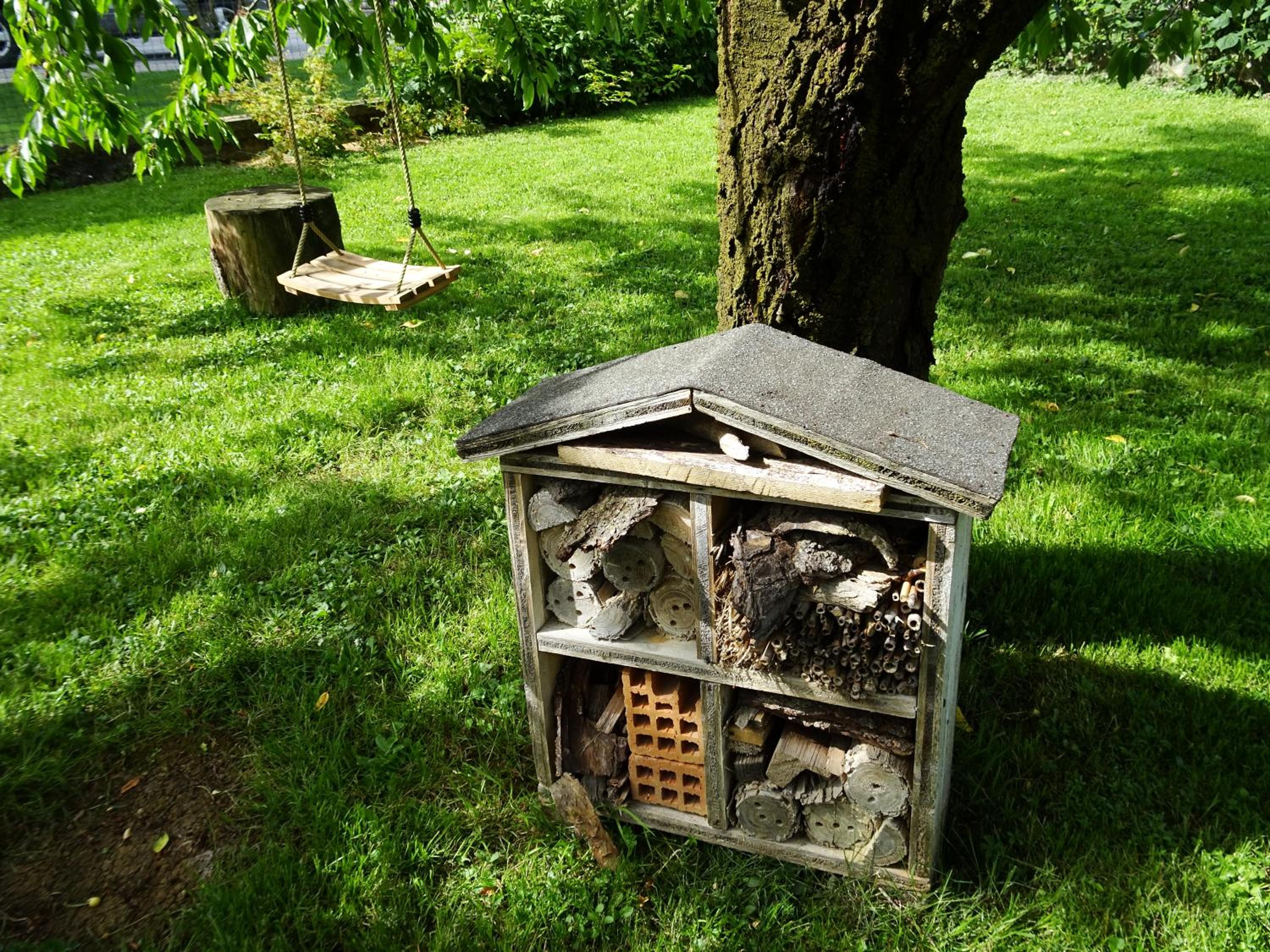 Photo 25
