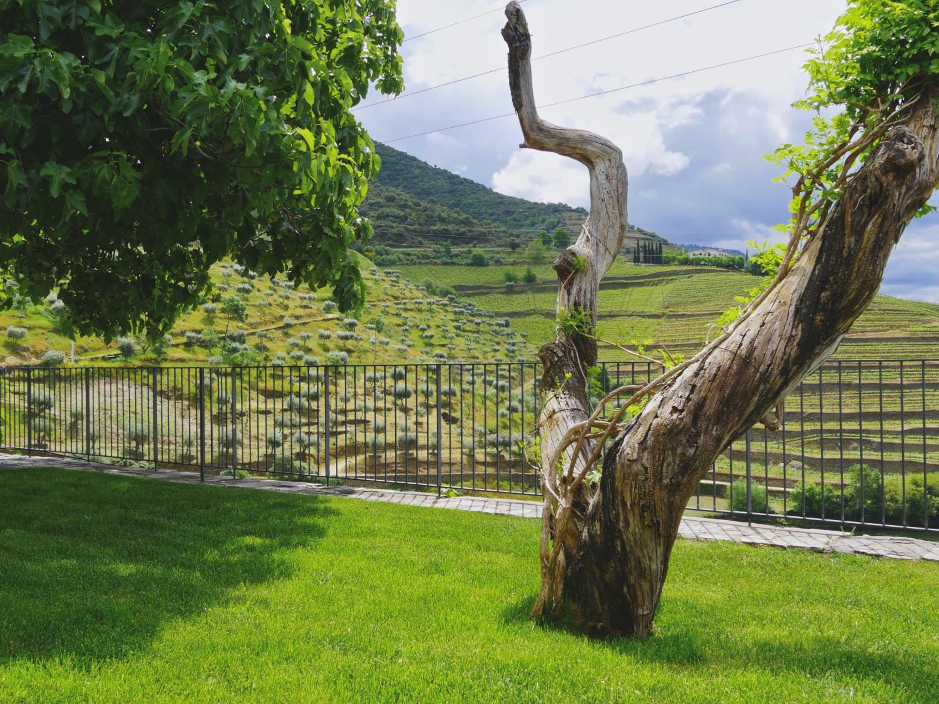 Quinta do Tedo, Bild 46