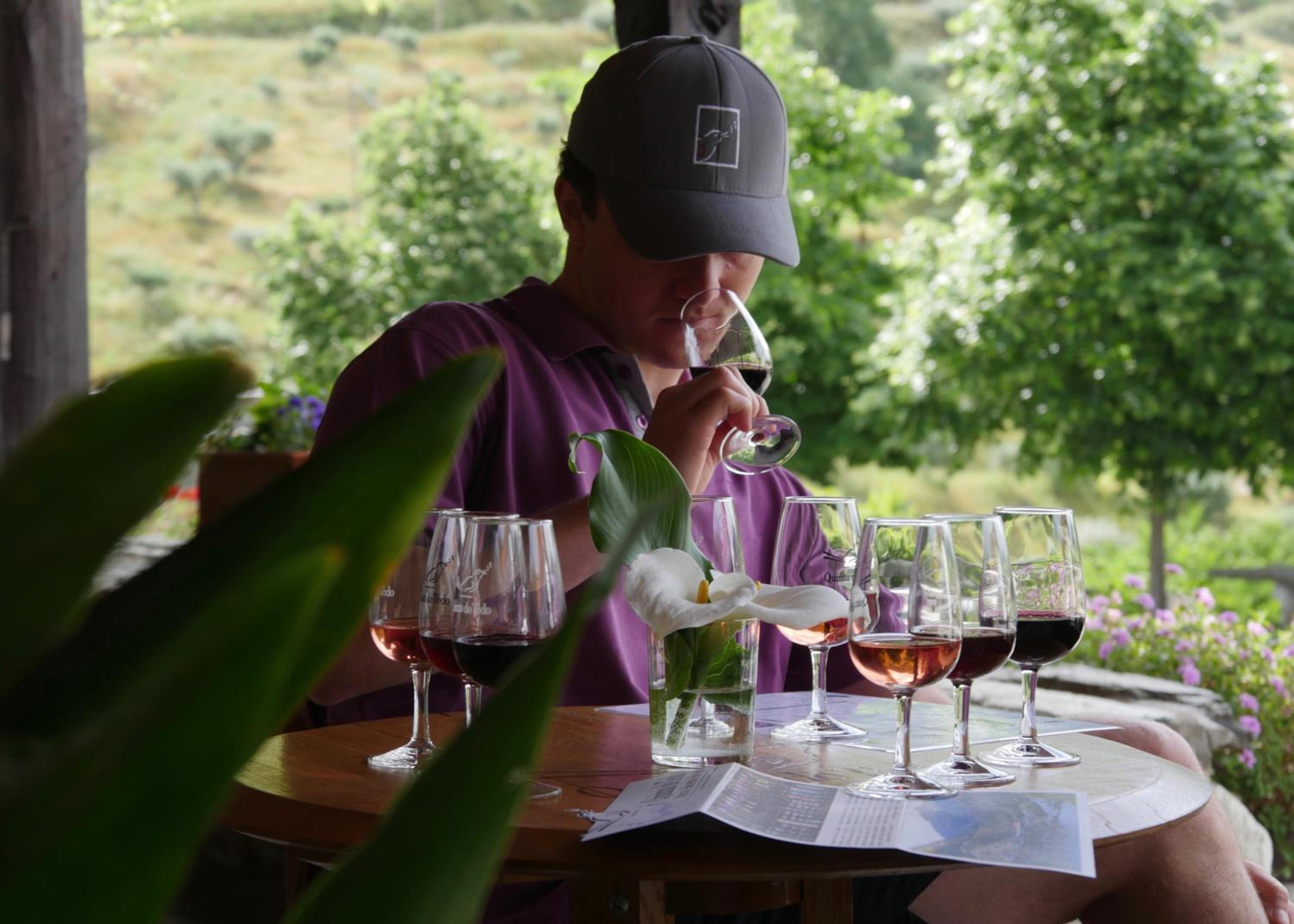 Quinta do Tedo, Bild 17