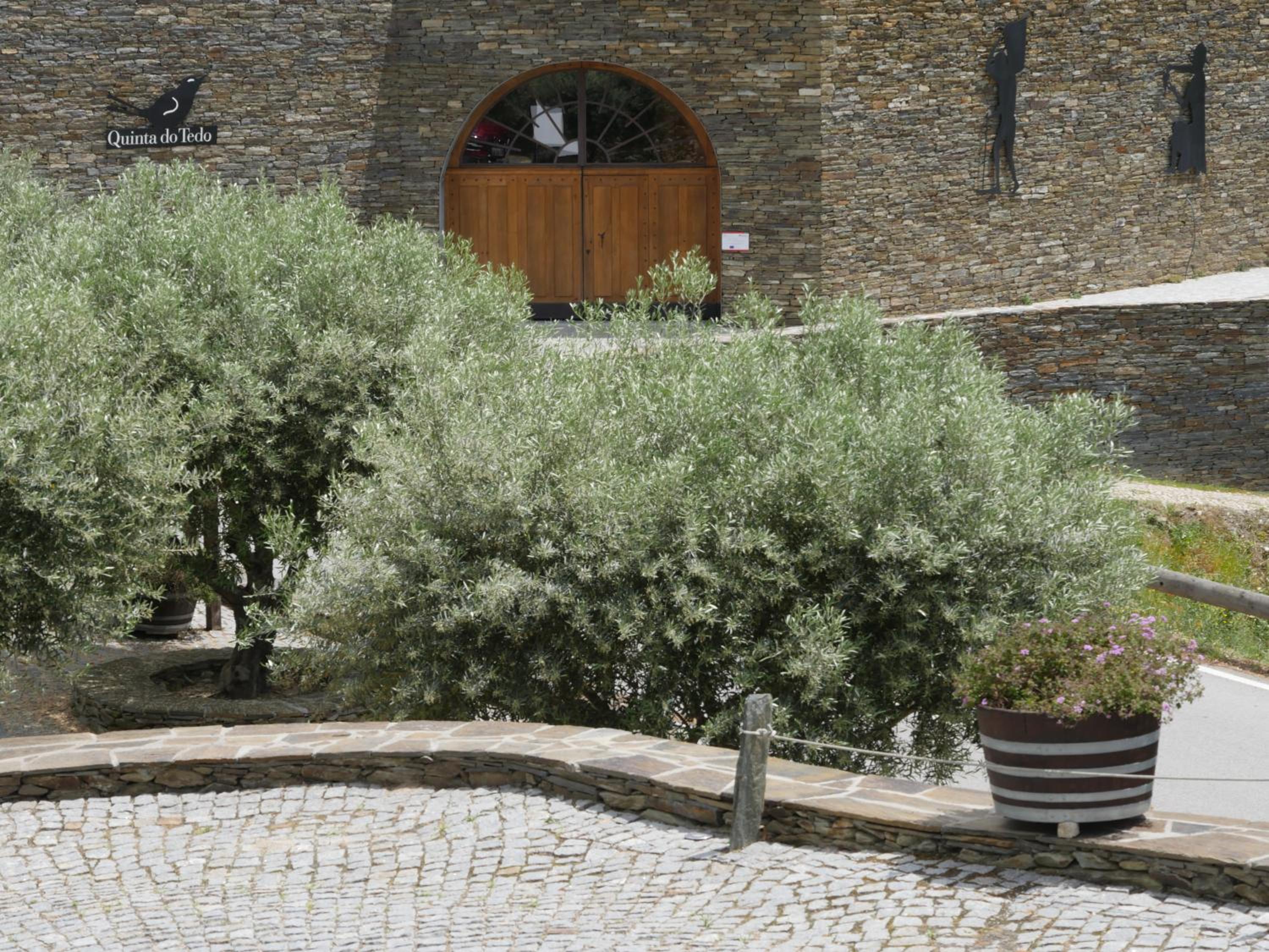 Quinta do Tedo