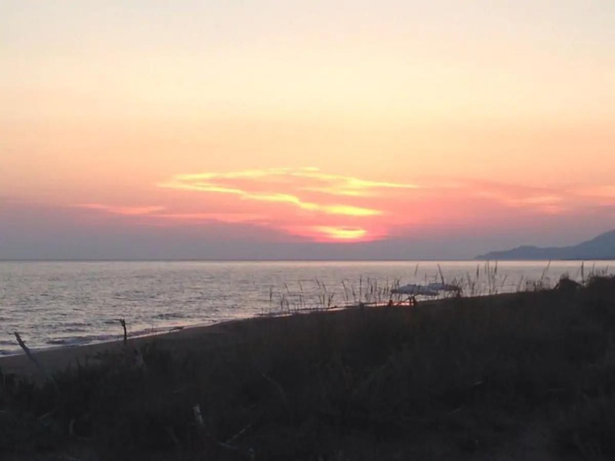 Photo 49