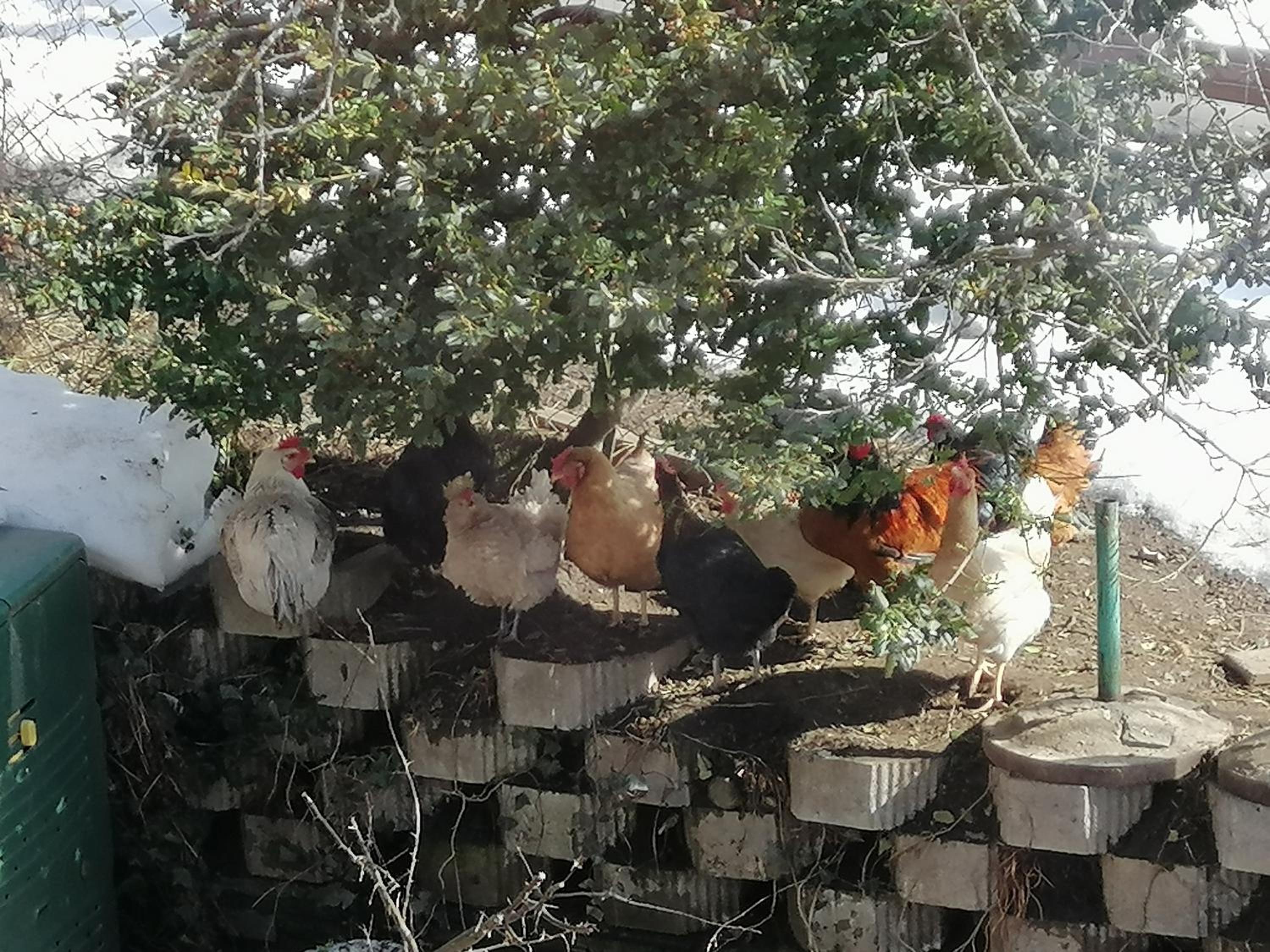 Fewo Fabiella mit Balkon