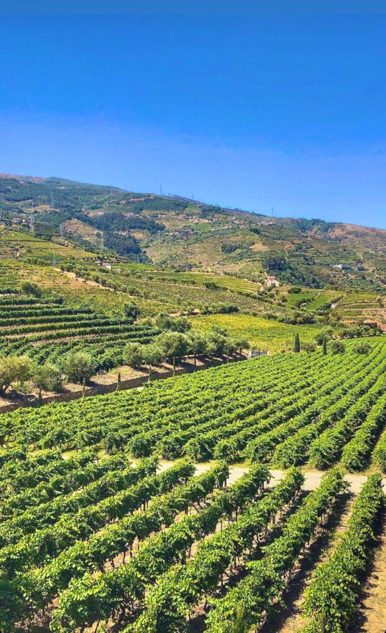 Quinta da Salada - Turismo Rural view 3