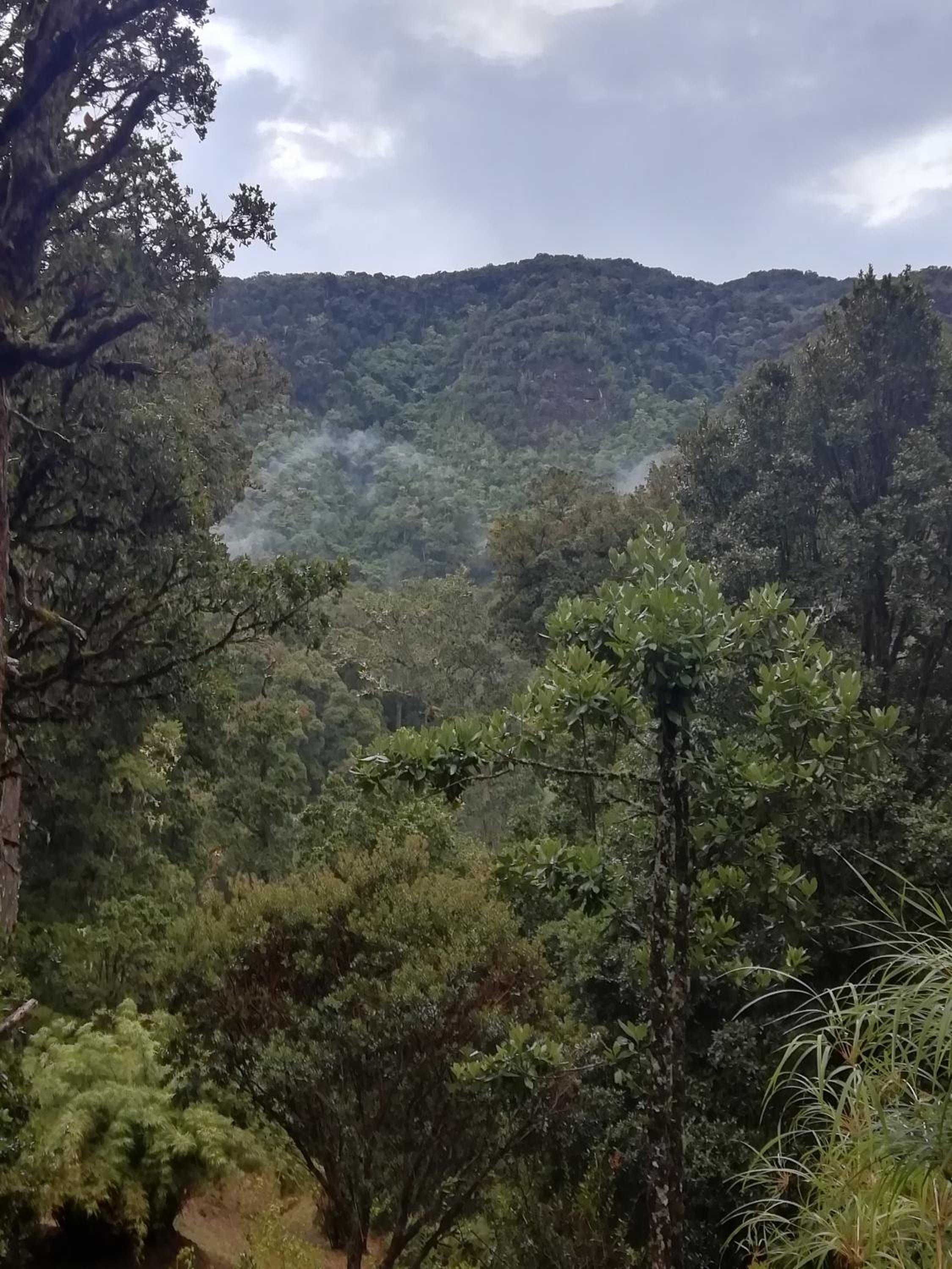 Miriam'S Quetzals lodge