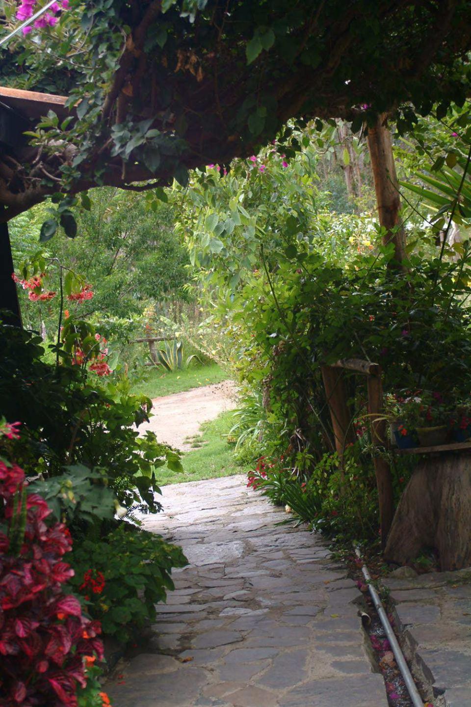 Altai Oasis Lodge