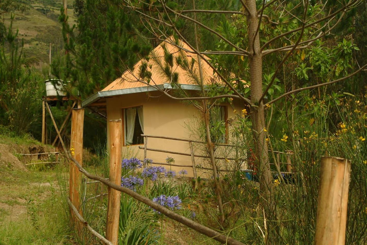 Altai Oasis Lodge