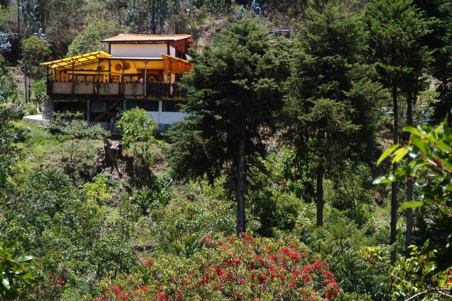 Altai Oasis Lodge