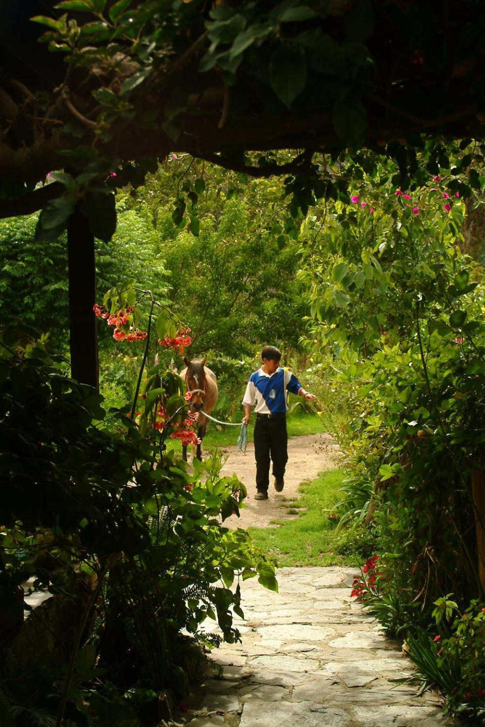 Altai Oasis Lodge