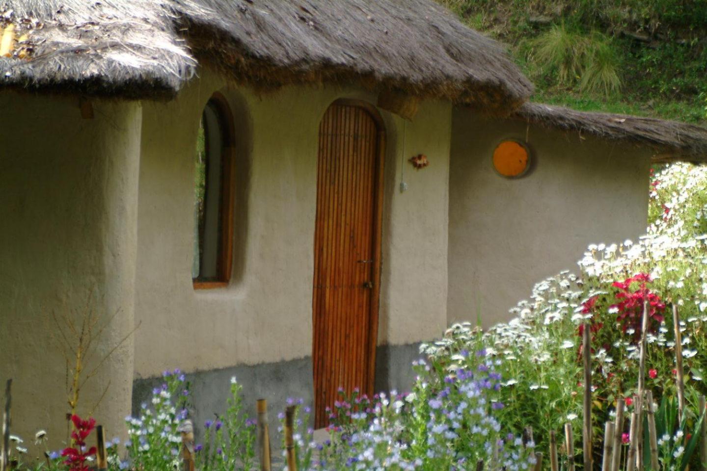 Altai Oasis Lodge