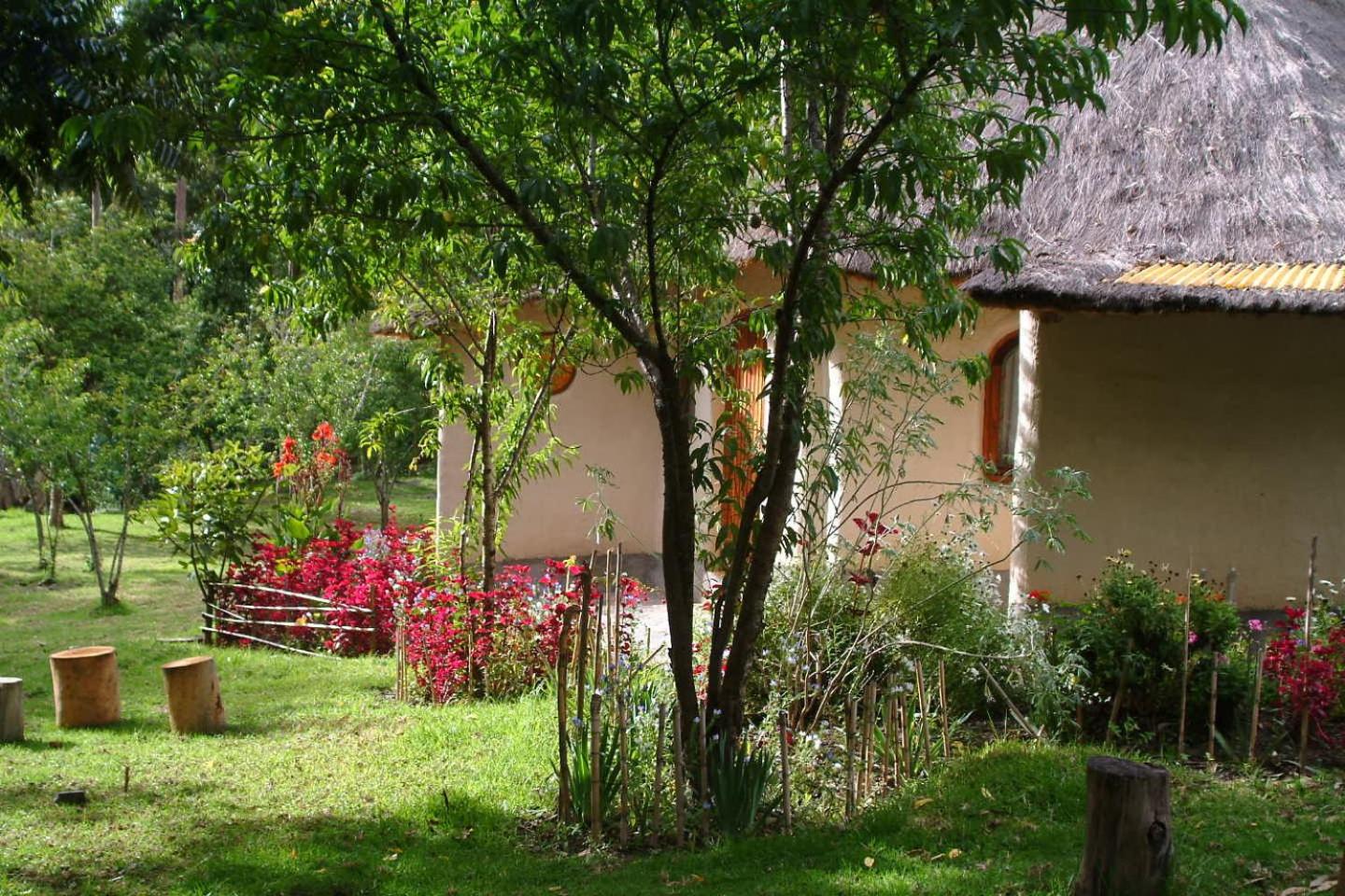 Altai Oasis Lodge
