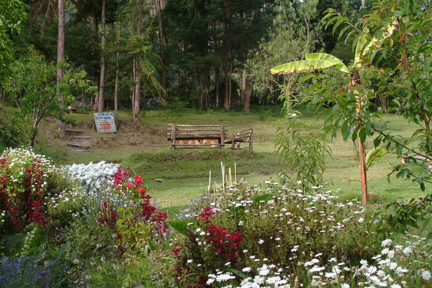 Altai Oasis Lodge