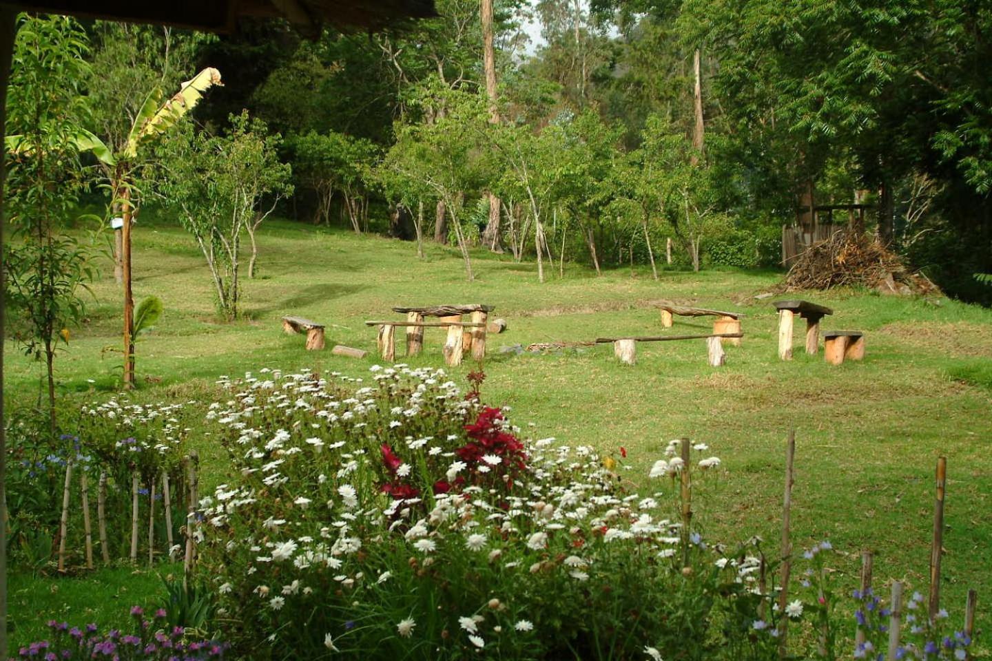 Altai Oasis Lodge
