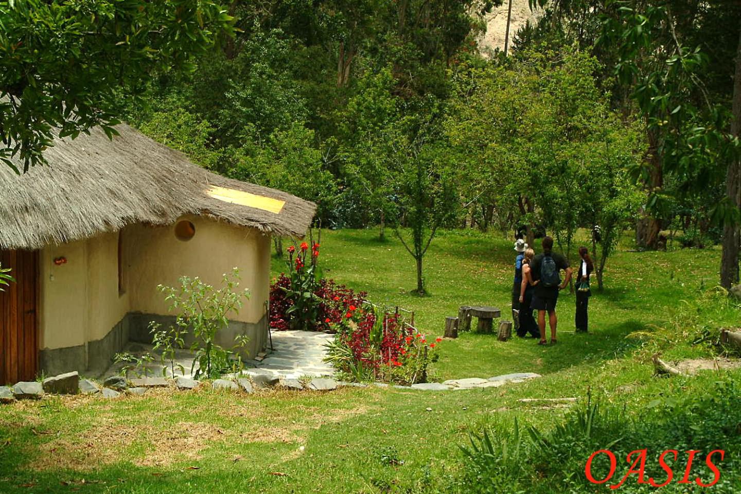 Altai Oasis Lodge
