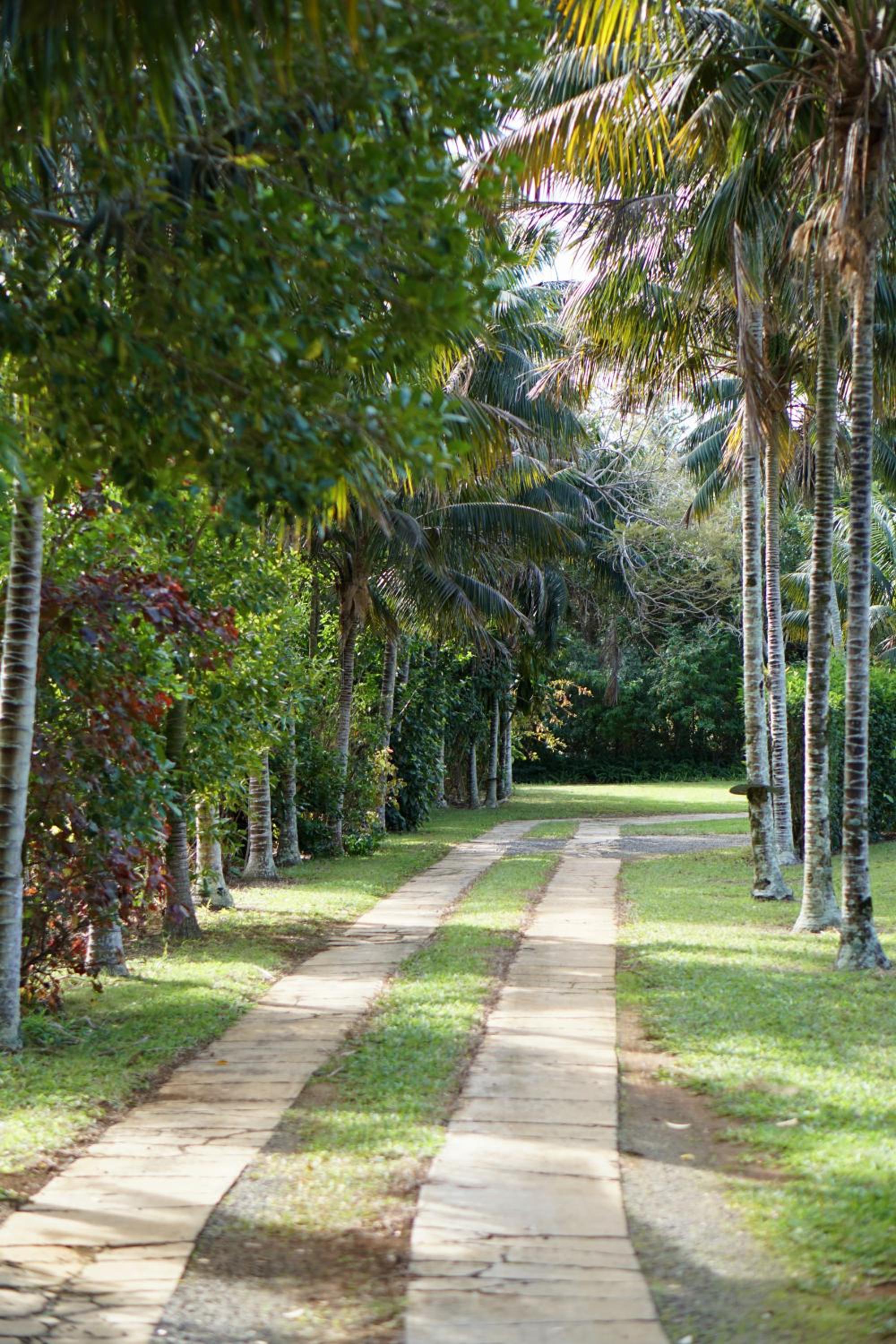 Anson Bay Lodge