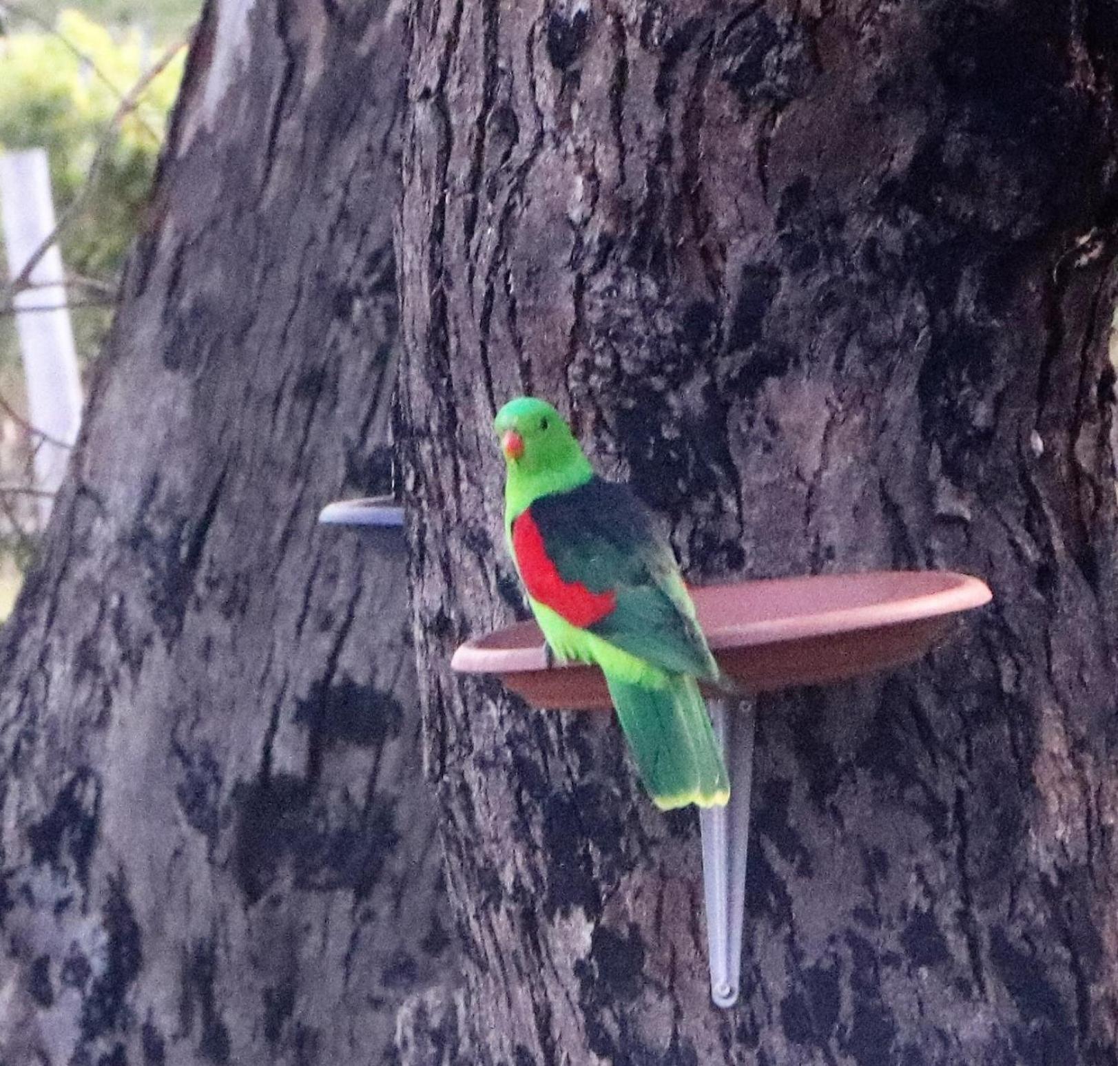 A Stanthorpe Getaway
