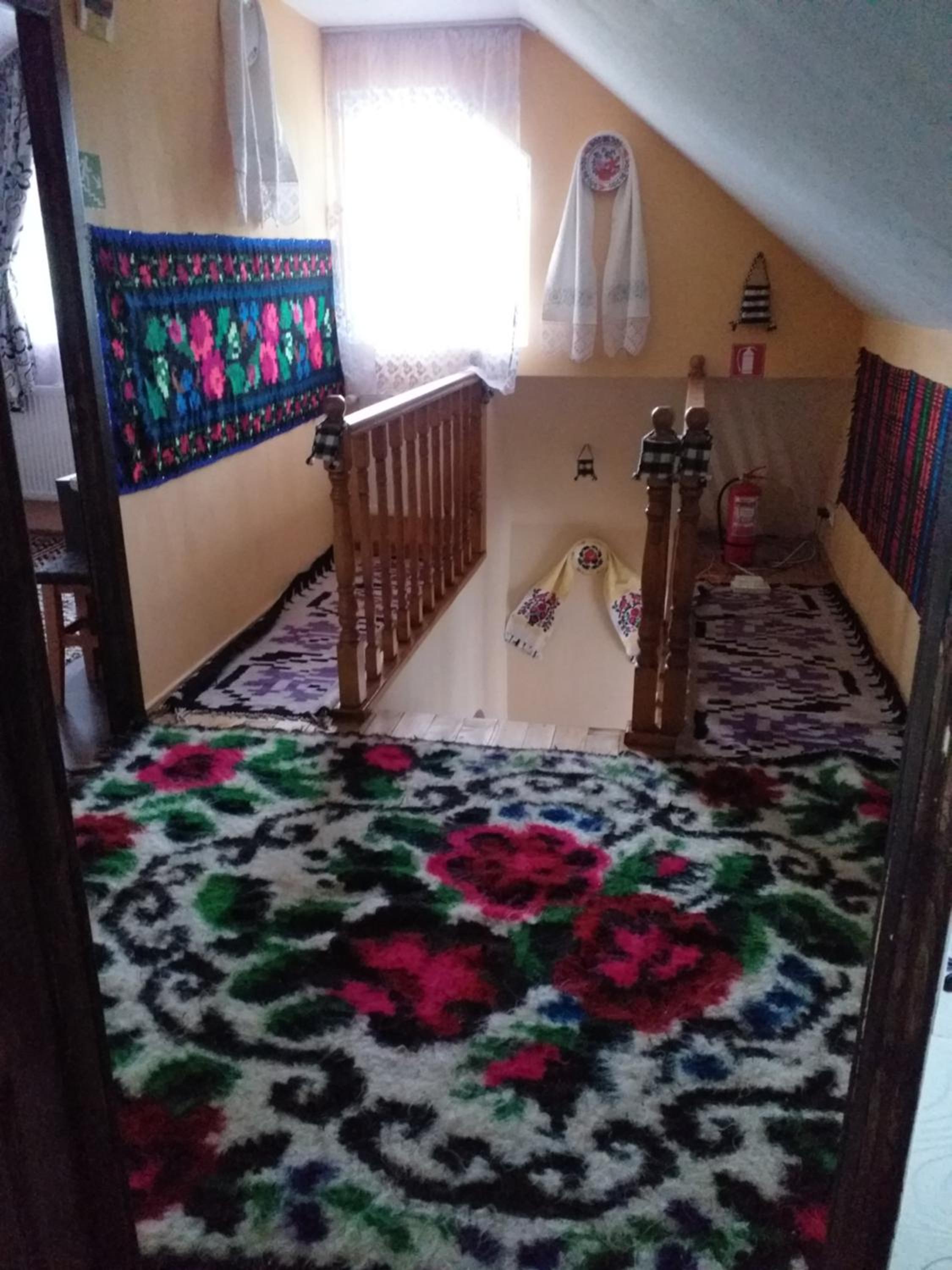 Casa Alina Breb view 5