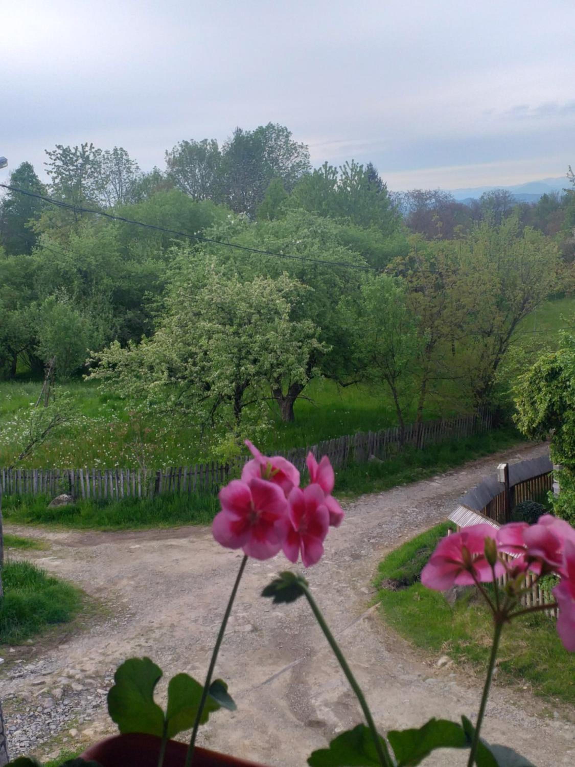 Casa Alina Breb view 3