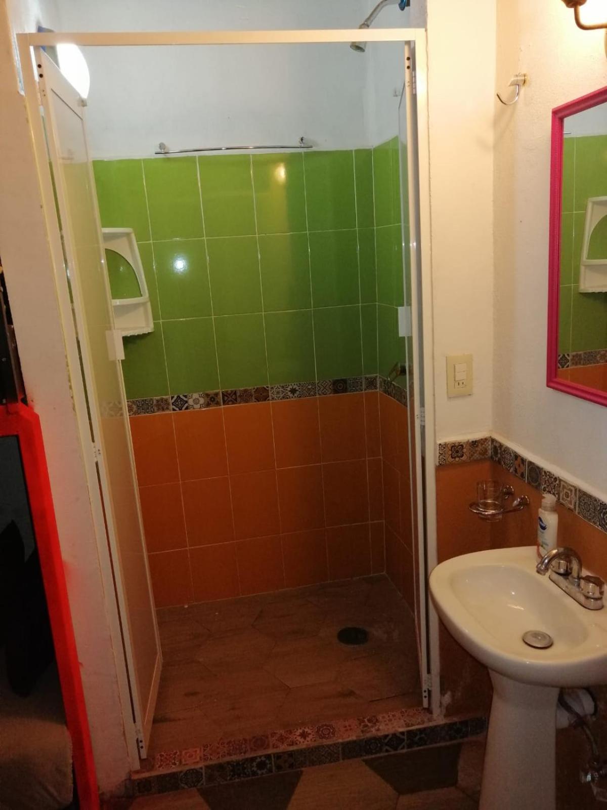 La Frida Kahlo Verde 1er piso photo 5