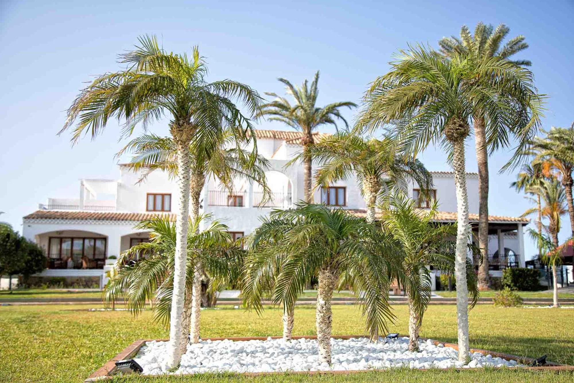 Jardines de la Mata Boutique Beach, photo 24
