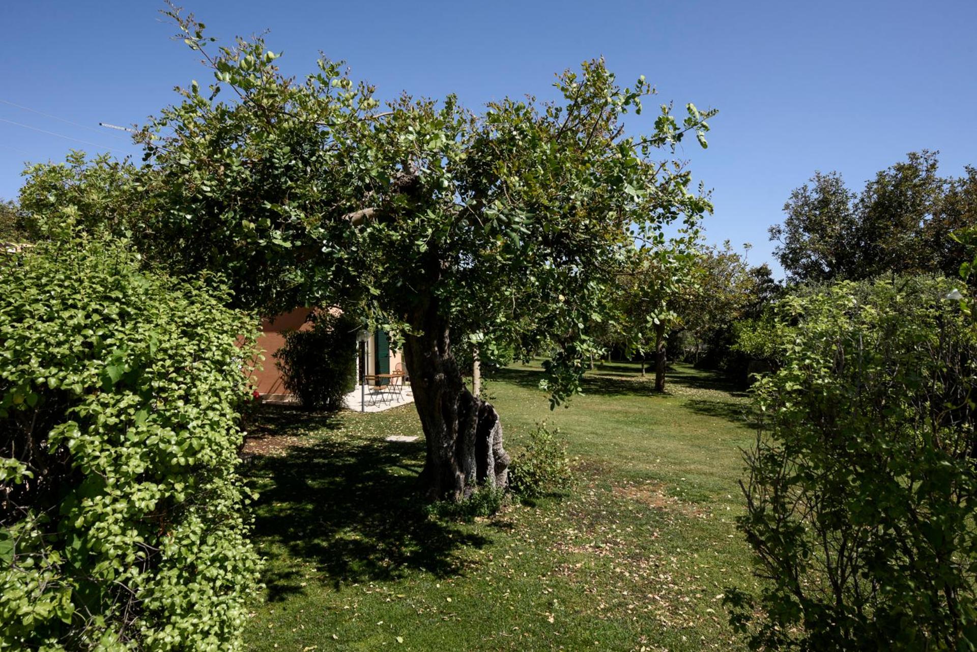 Karrua House - Magnolia Room view 3