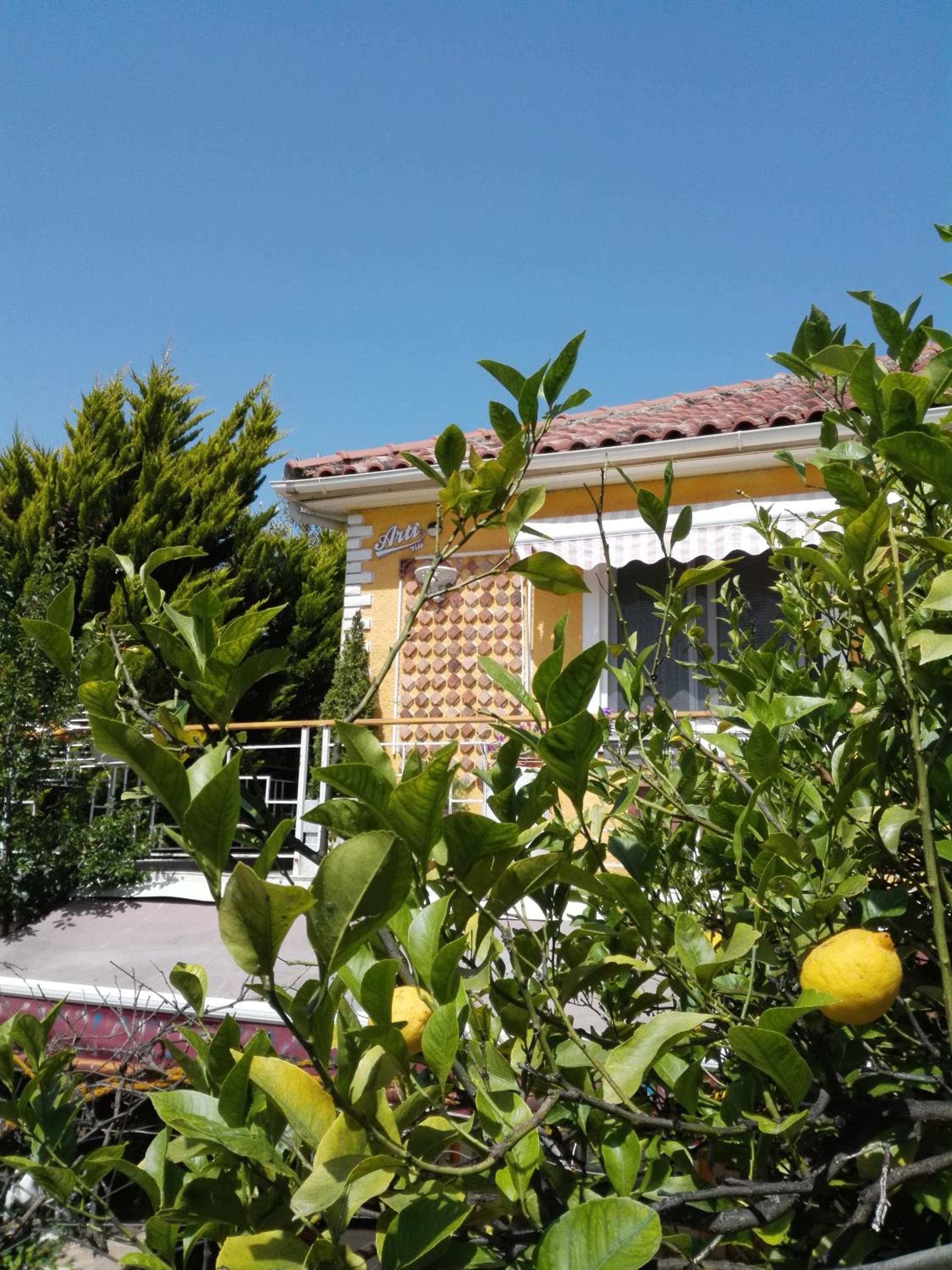 Arti Vila
