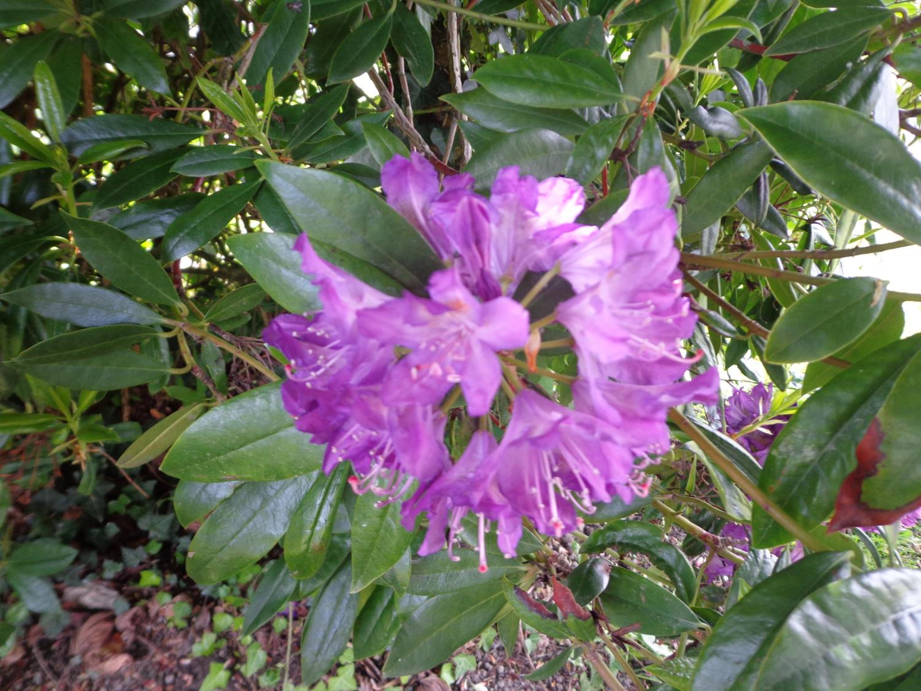 Photo 23