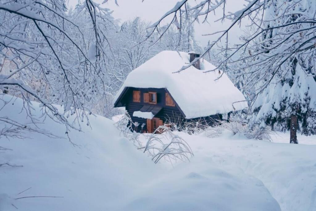 Cottage in the woods - Lake Bohinj view 2