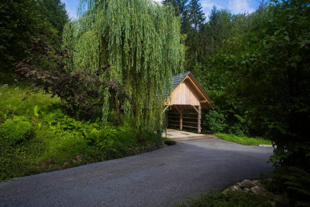 Photo 21