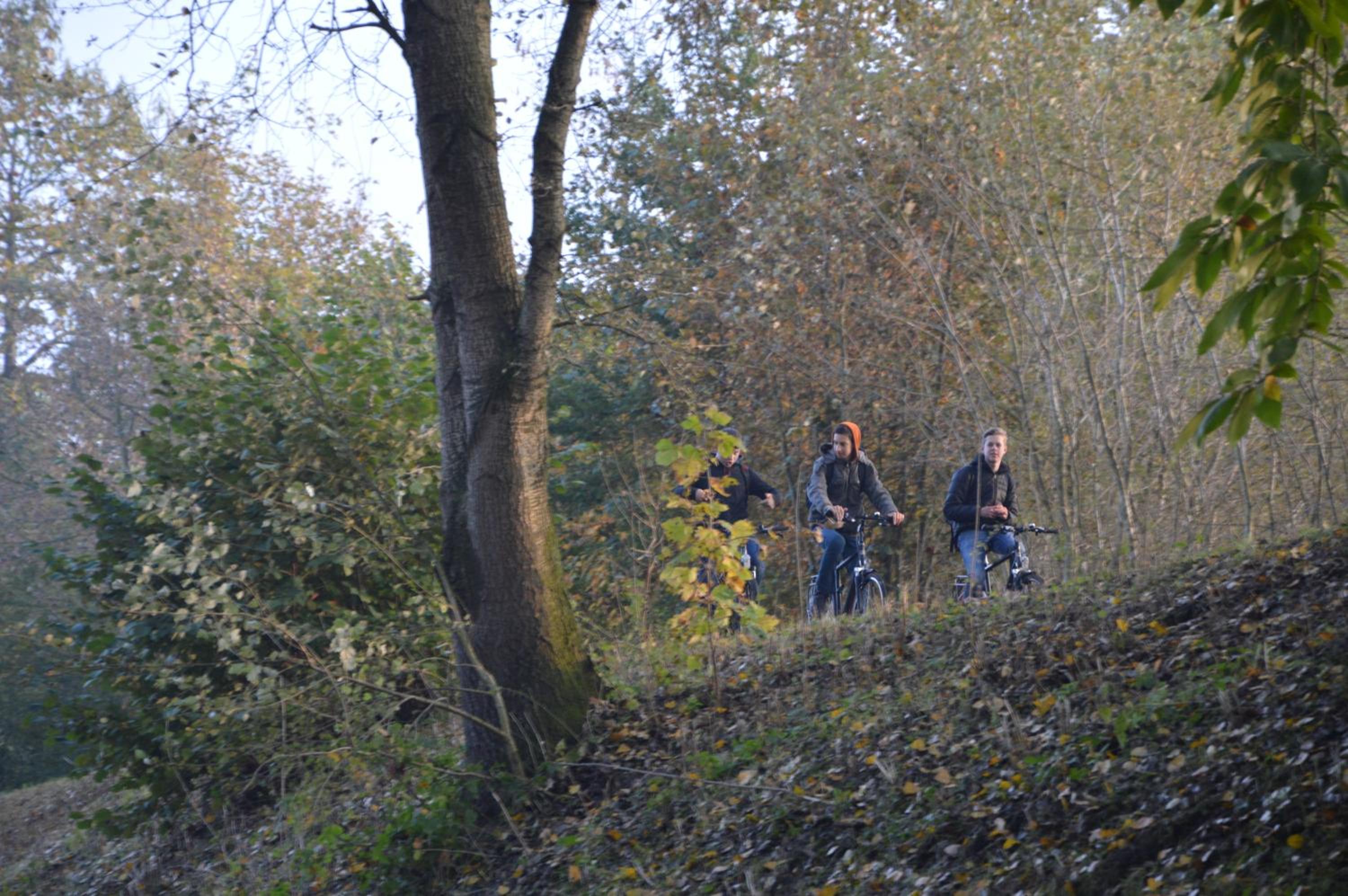 Photo 15