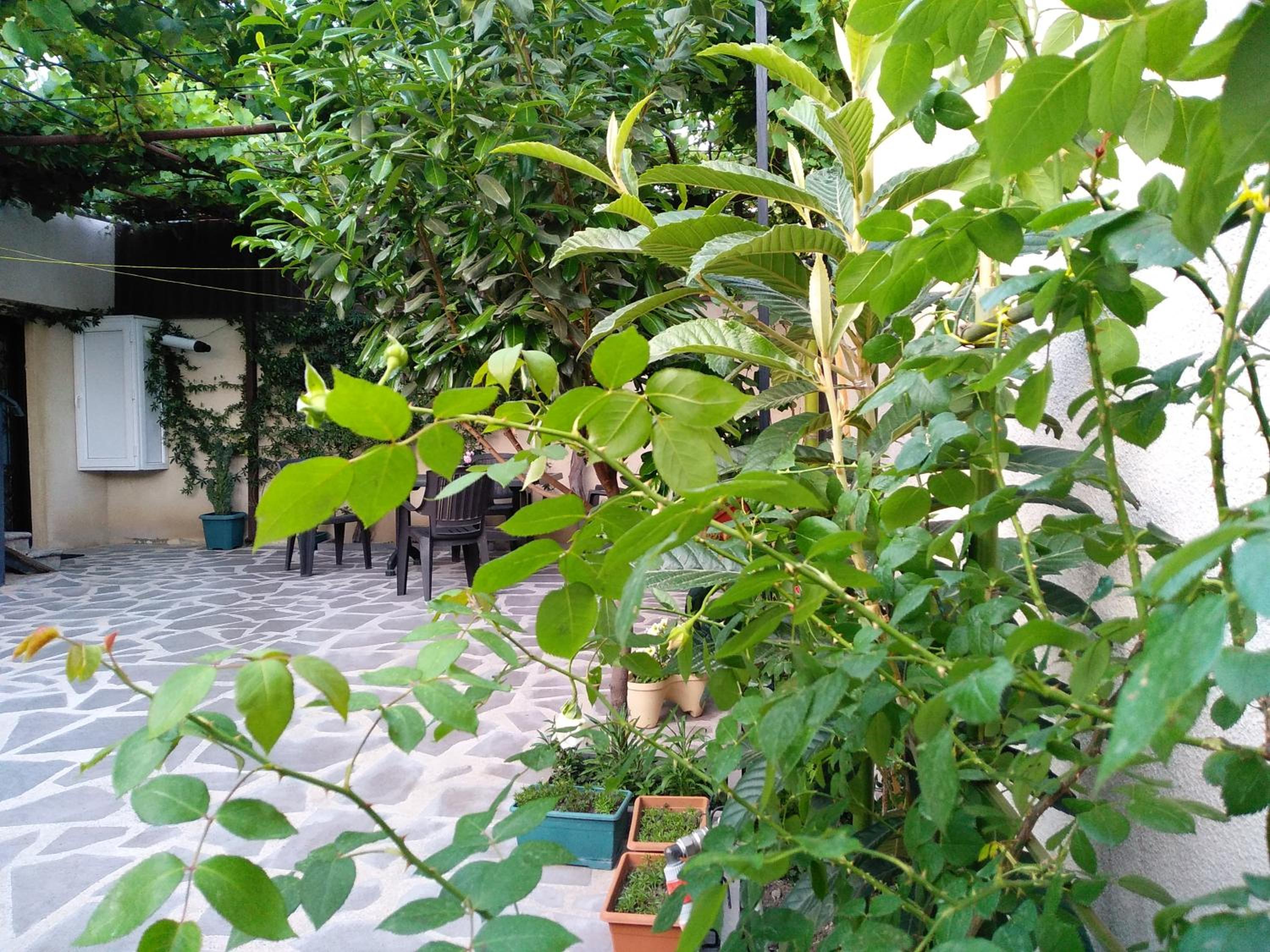 Photo 42