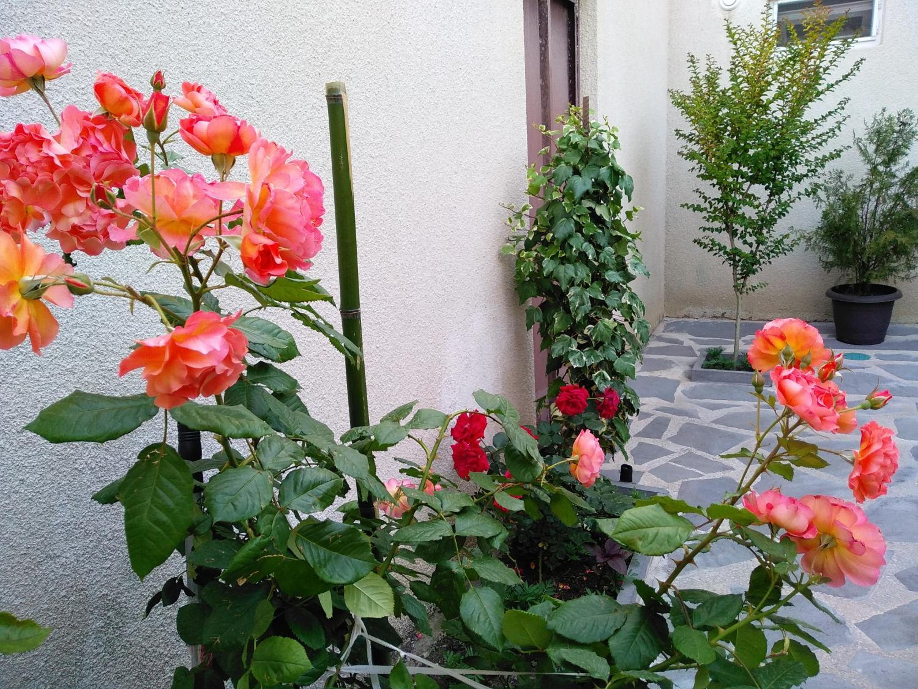 Photo 40