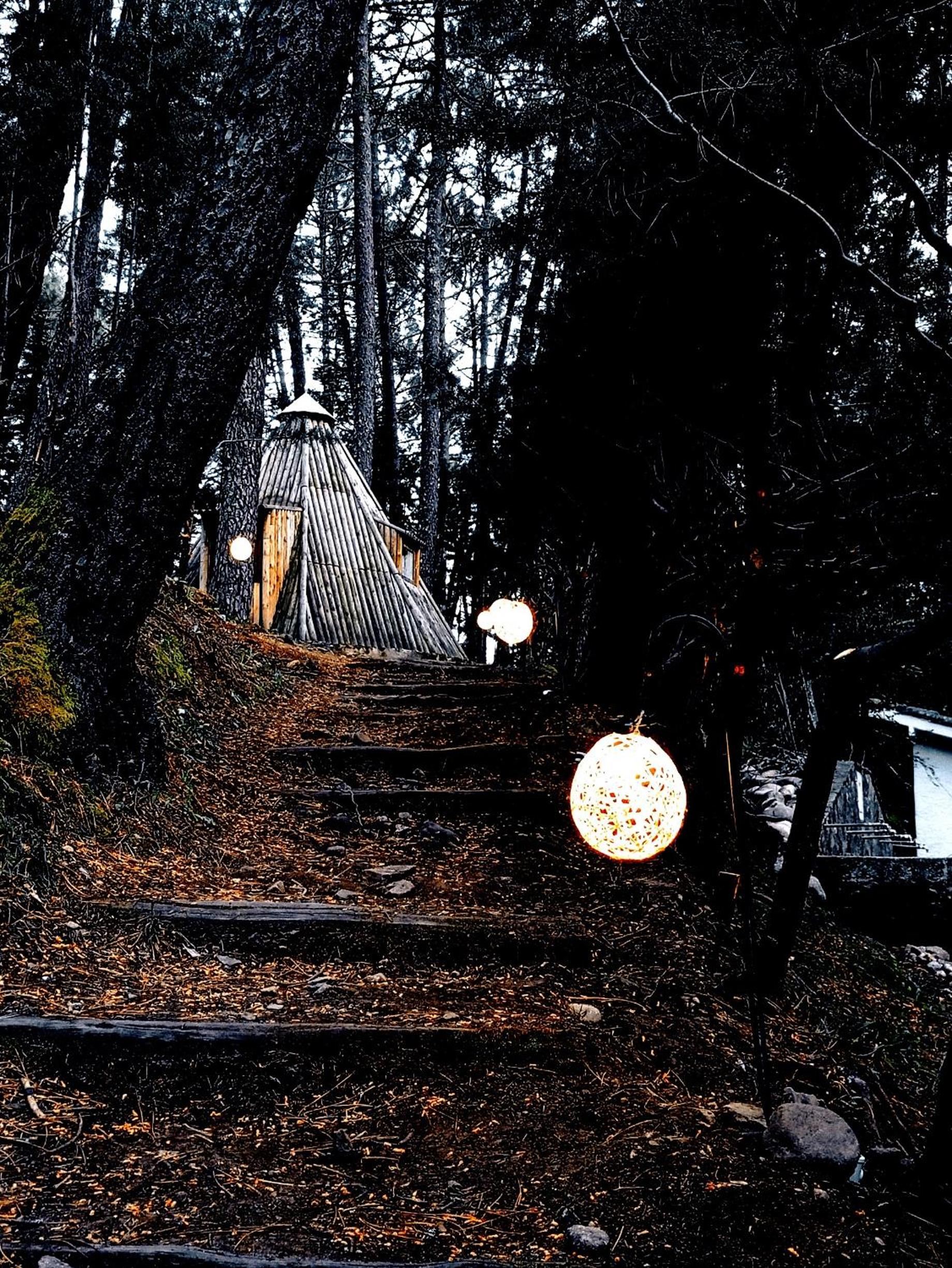 Photo 40