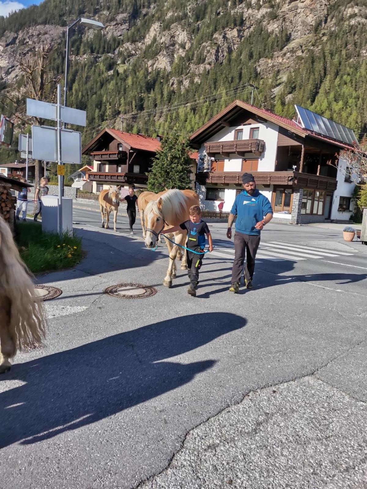Honzarhof