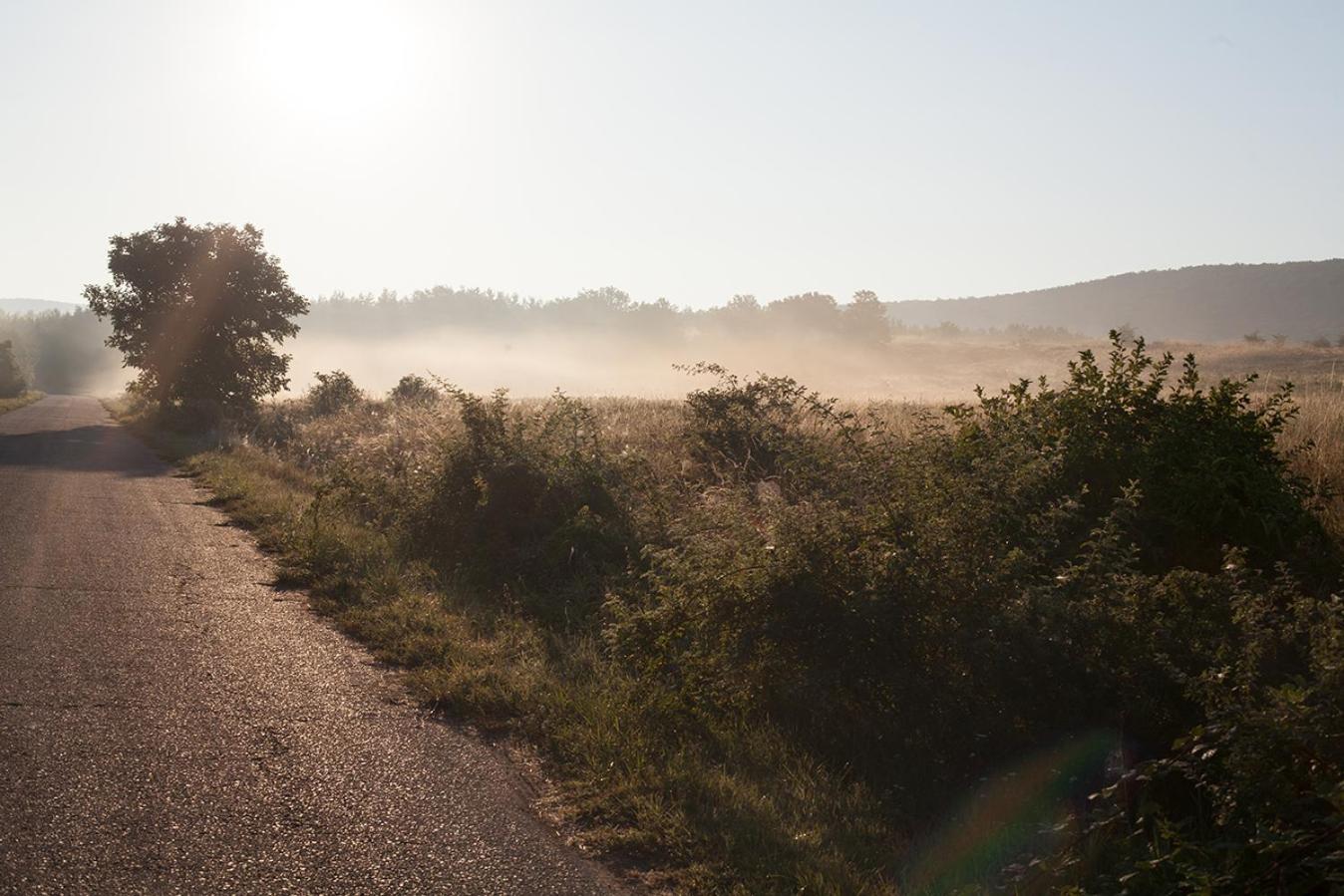 Photo 49