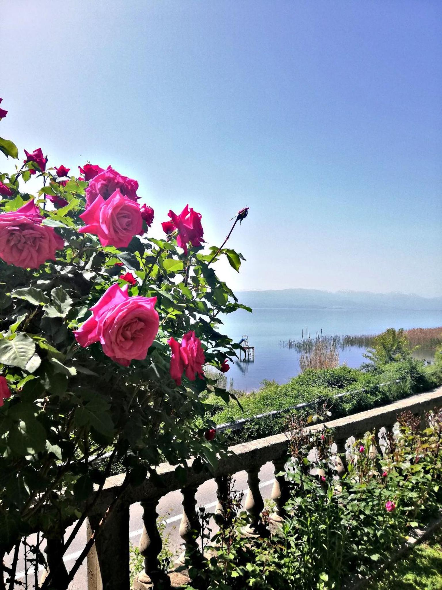 Villa Stefan view 3
