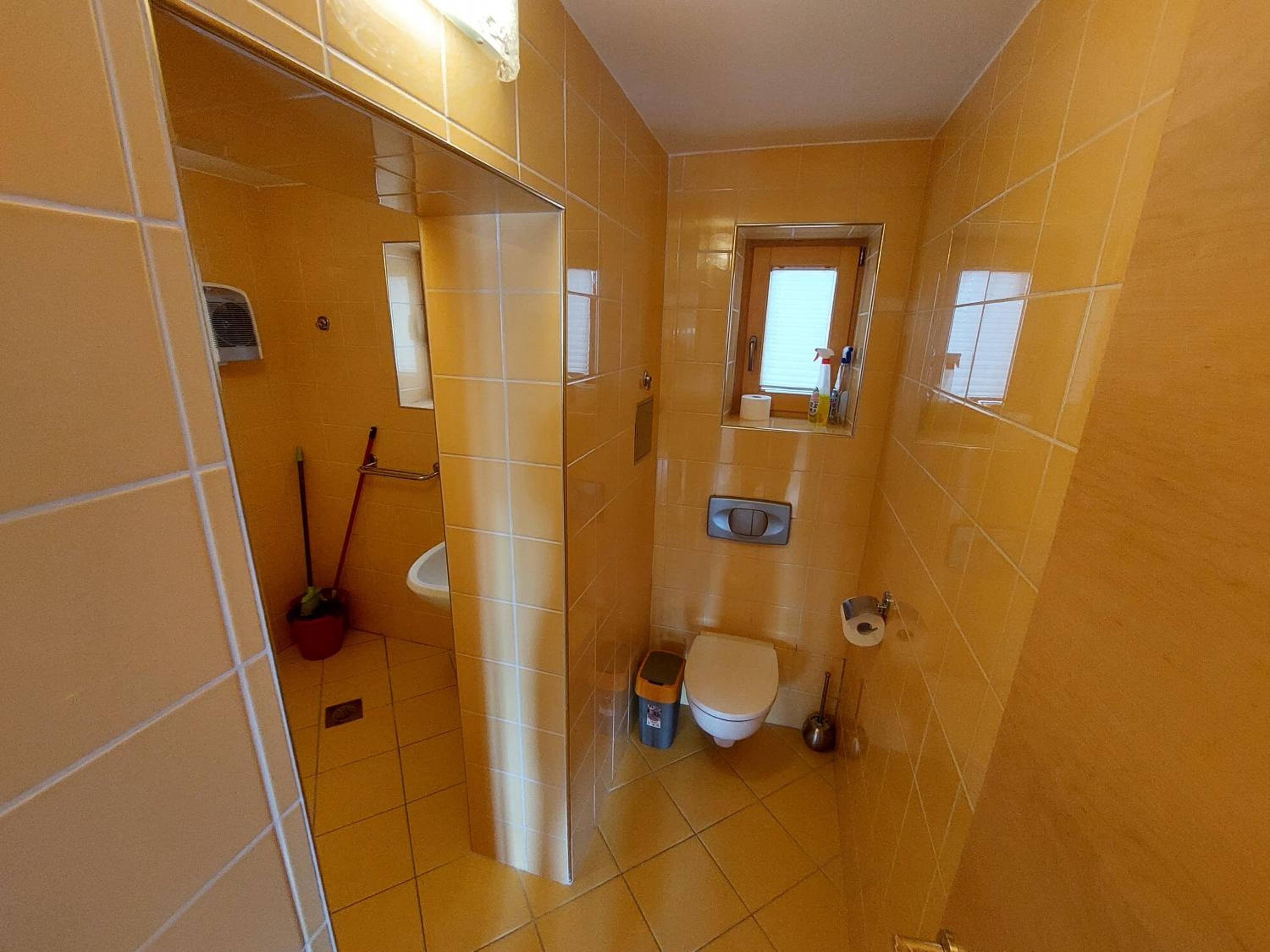 Apartmaji Fizine