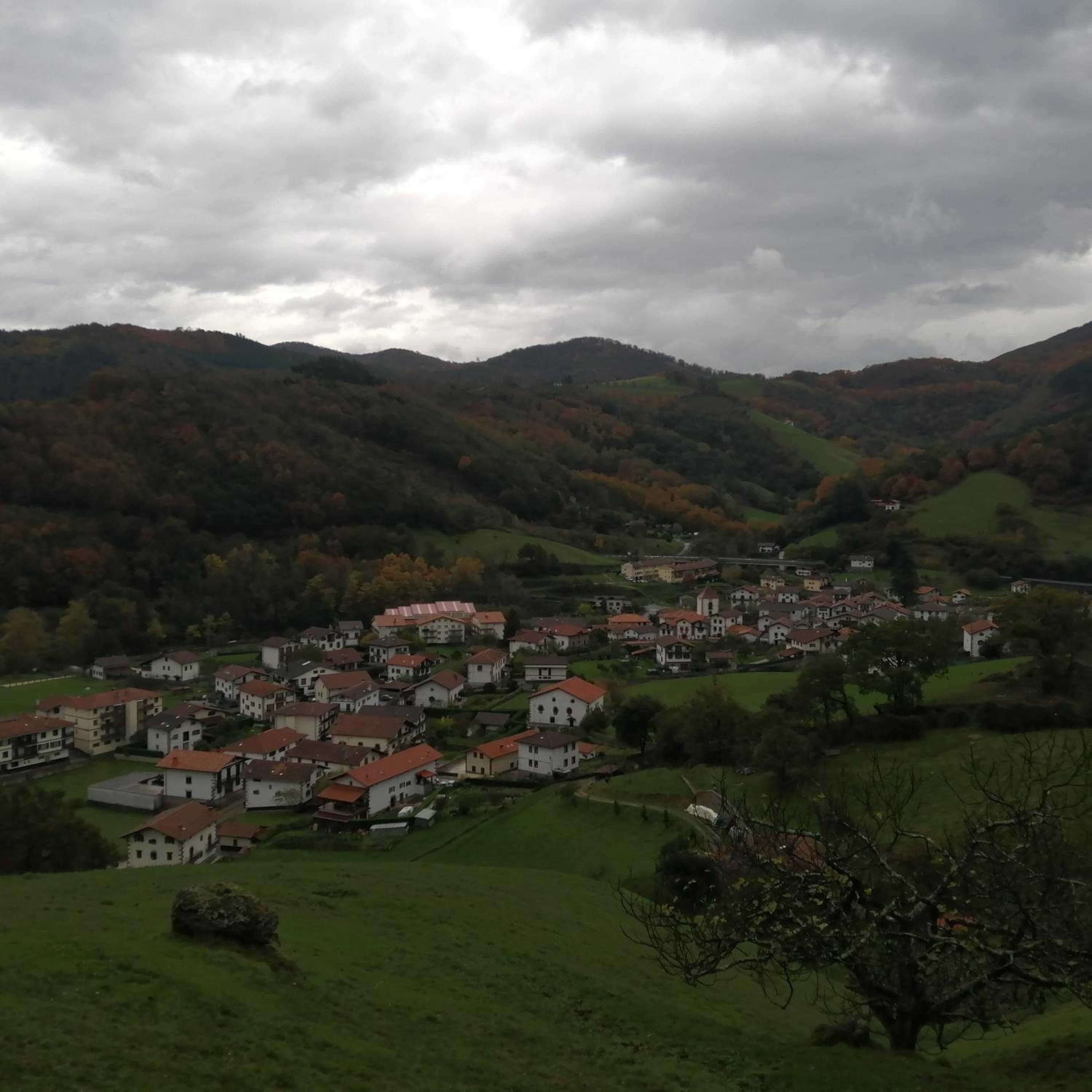 Photo 40