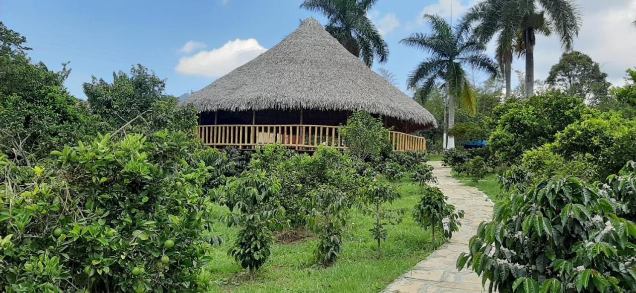 Las Mercedes Finca Cafetera