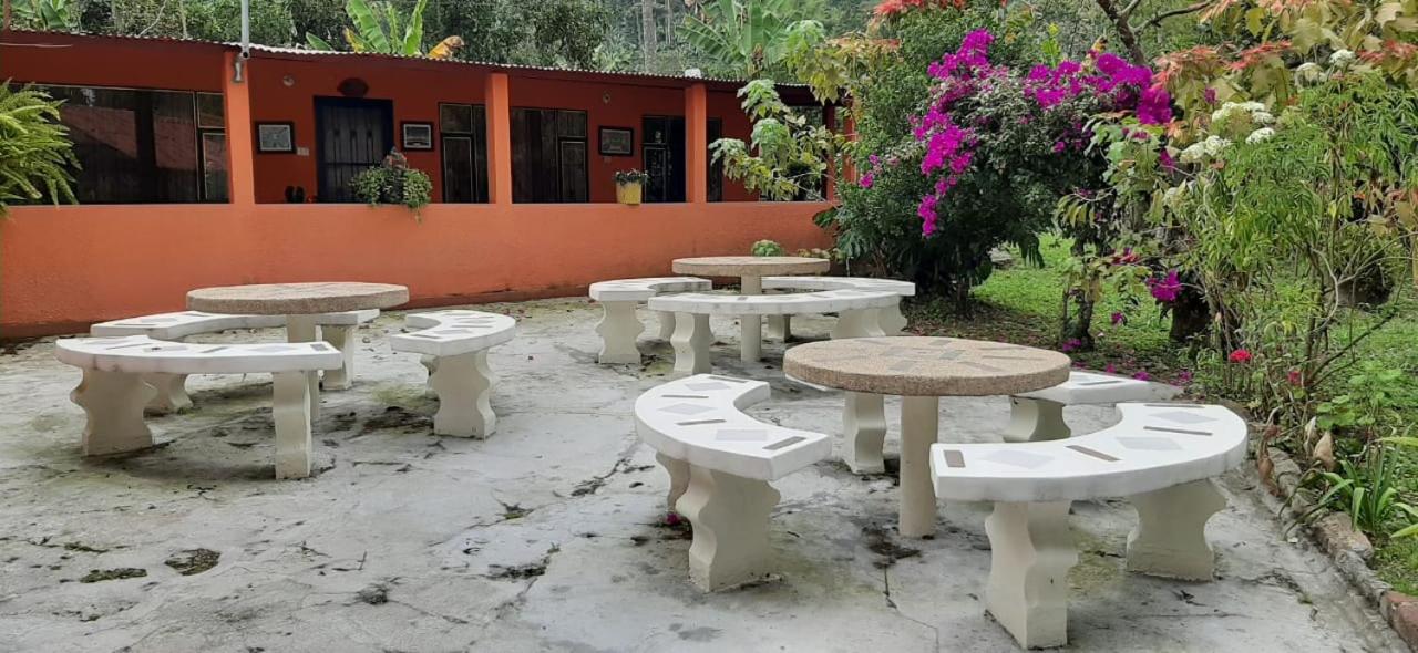 Las Mercedes Finca Cafetera