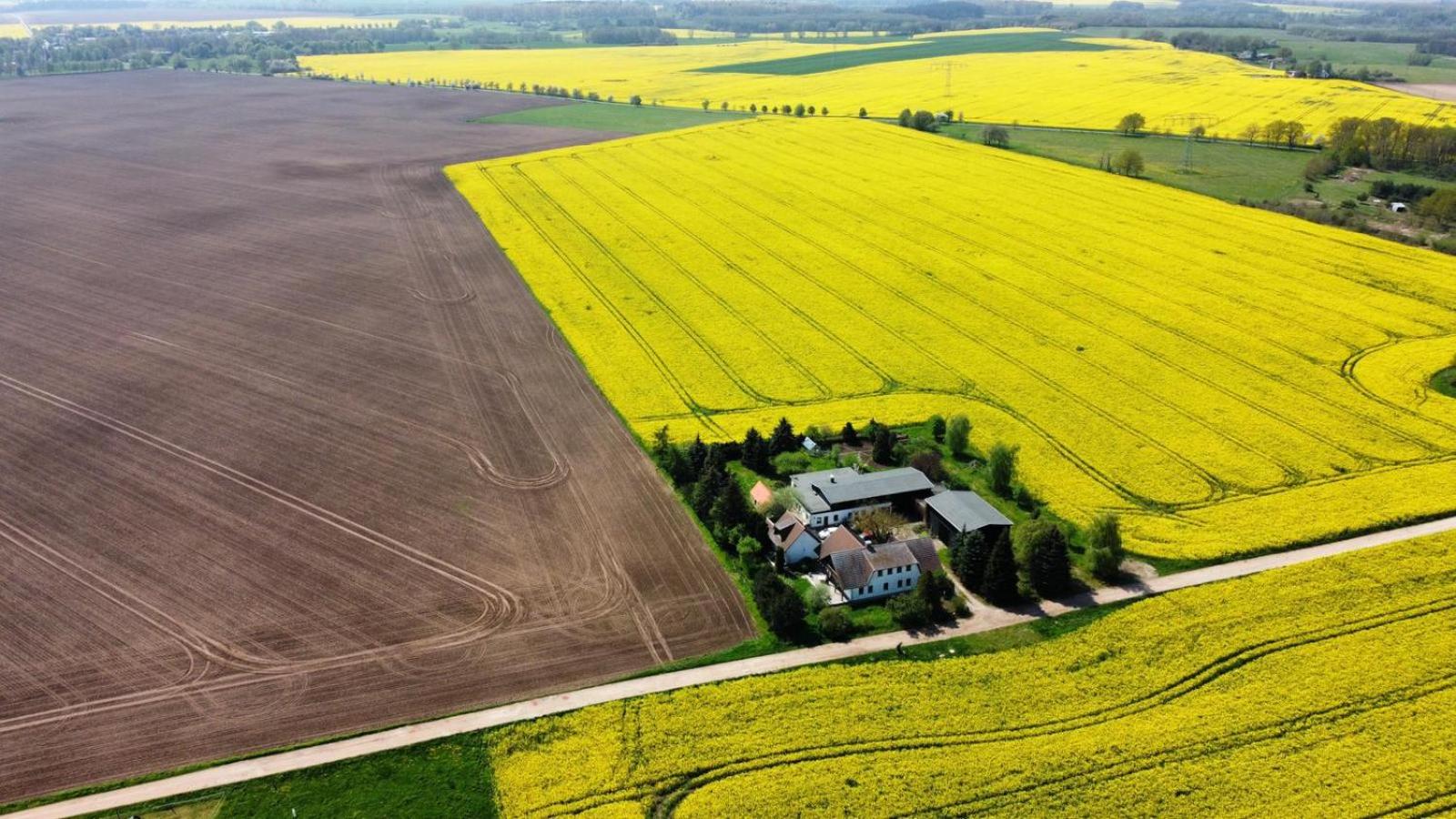 Ein Bett im Kornfeld - Haus Weitblick - mit Innenpool view 3
