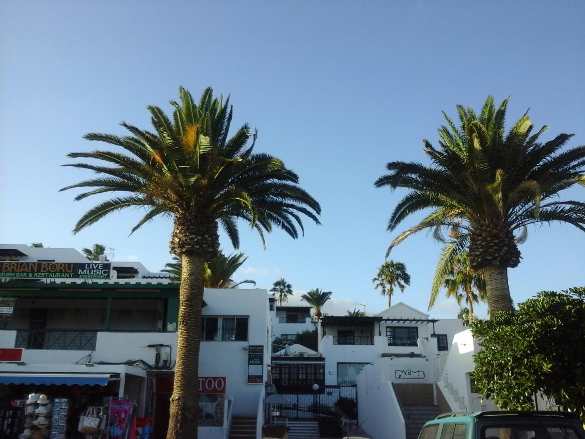 APARTAMENTO PRIMERA LINEA PLAYA
