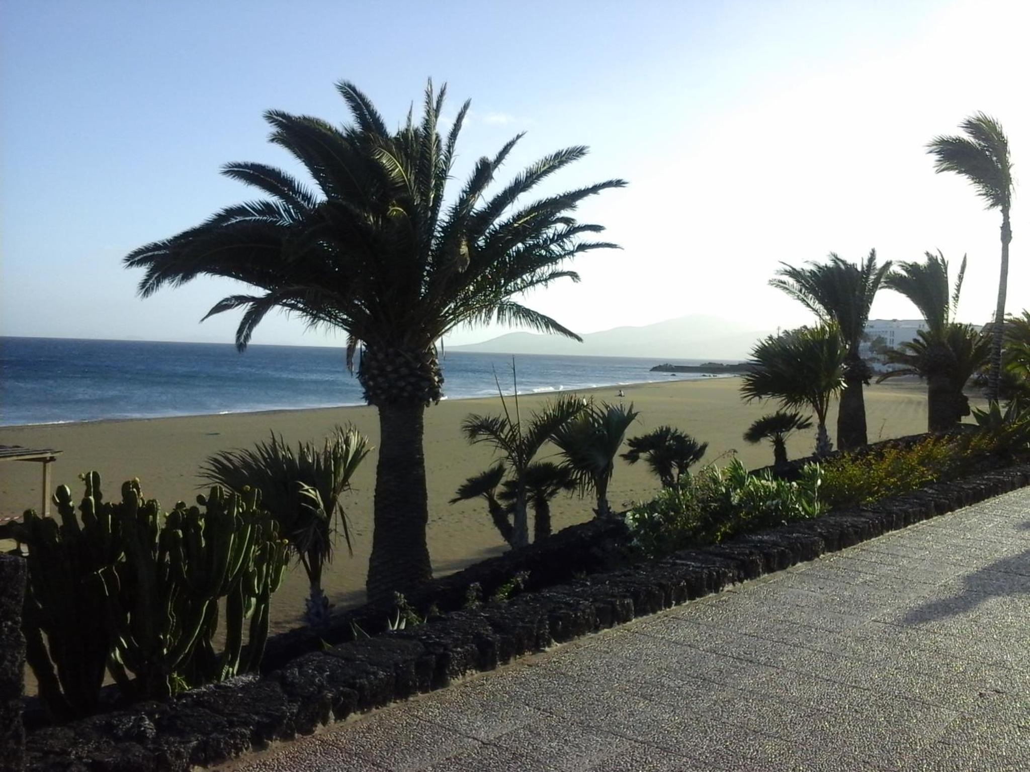 APARTAMENTO PRIMERA LINEA PLAYA
