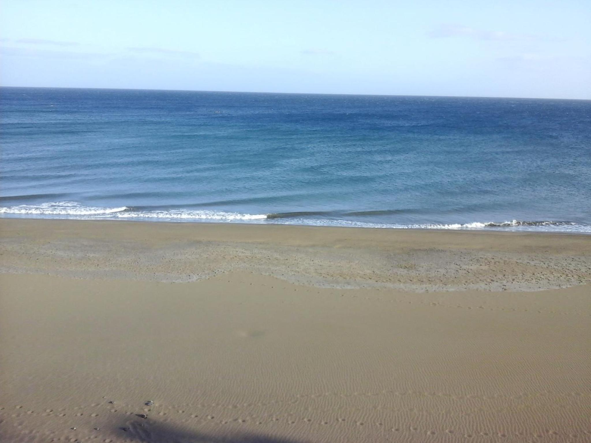 APARTAMENTO PRIMERA LINEA PLAYA