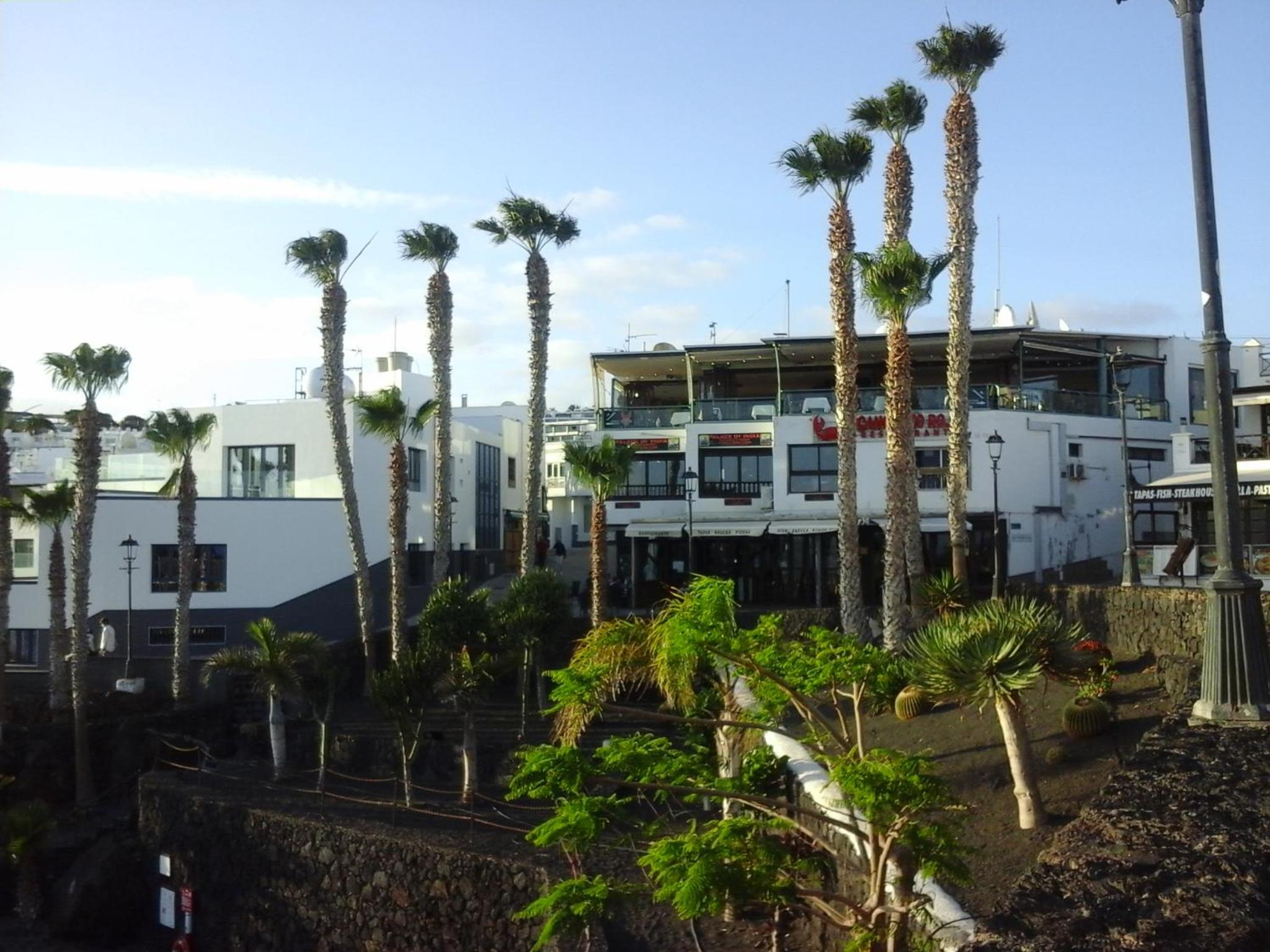 APARTAMENTO PRIMERA LINEA PLAYA